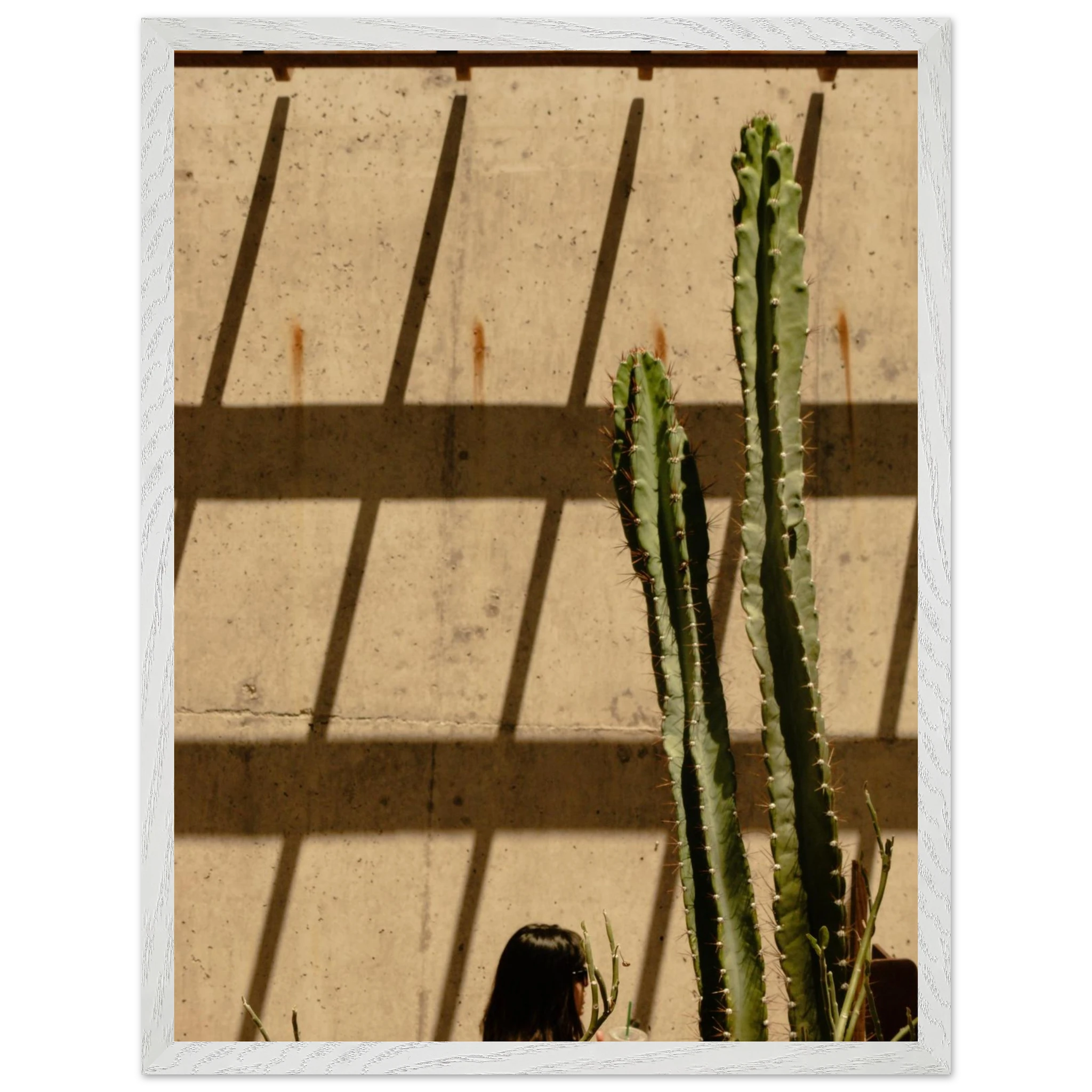 00fd90a6-1269-4364-ab94-19d9dfdebbf6