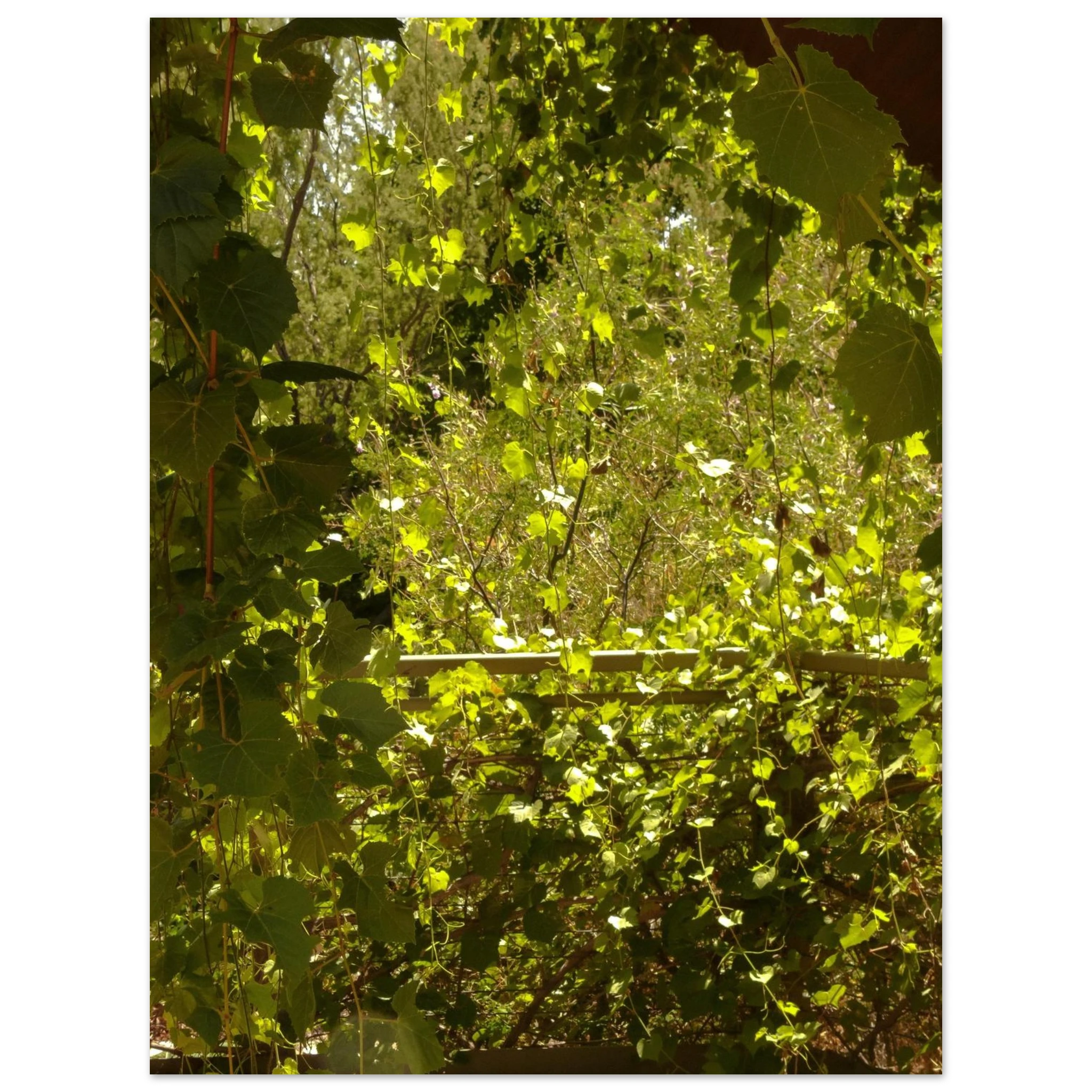 069bfa58-cbf1-455f-b583-73edb299d3b9