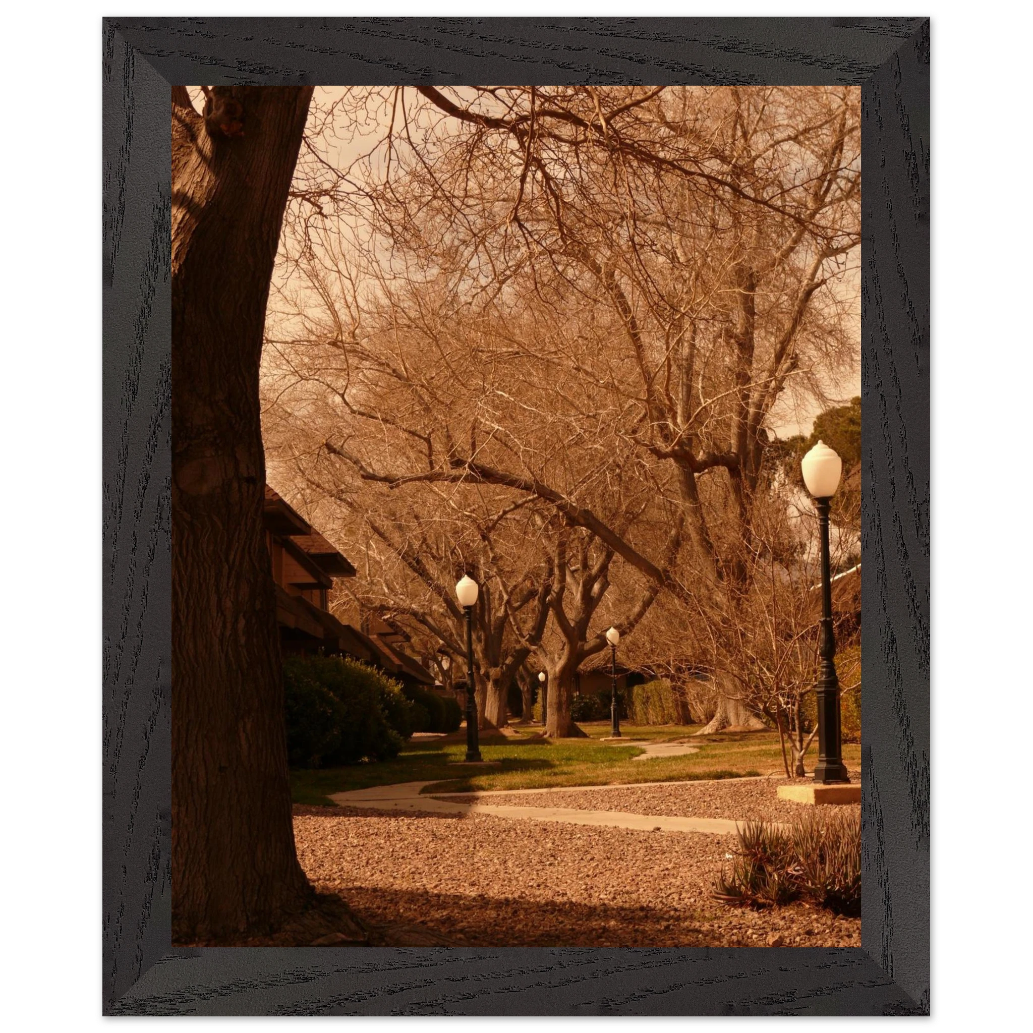 078af631-2167-40e8-9d3d-60ce9381dfb6