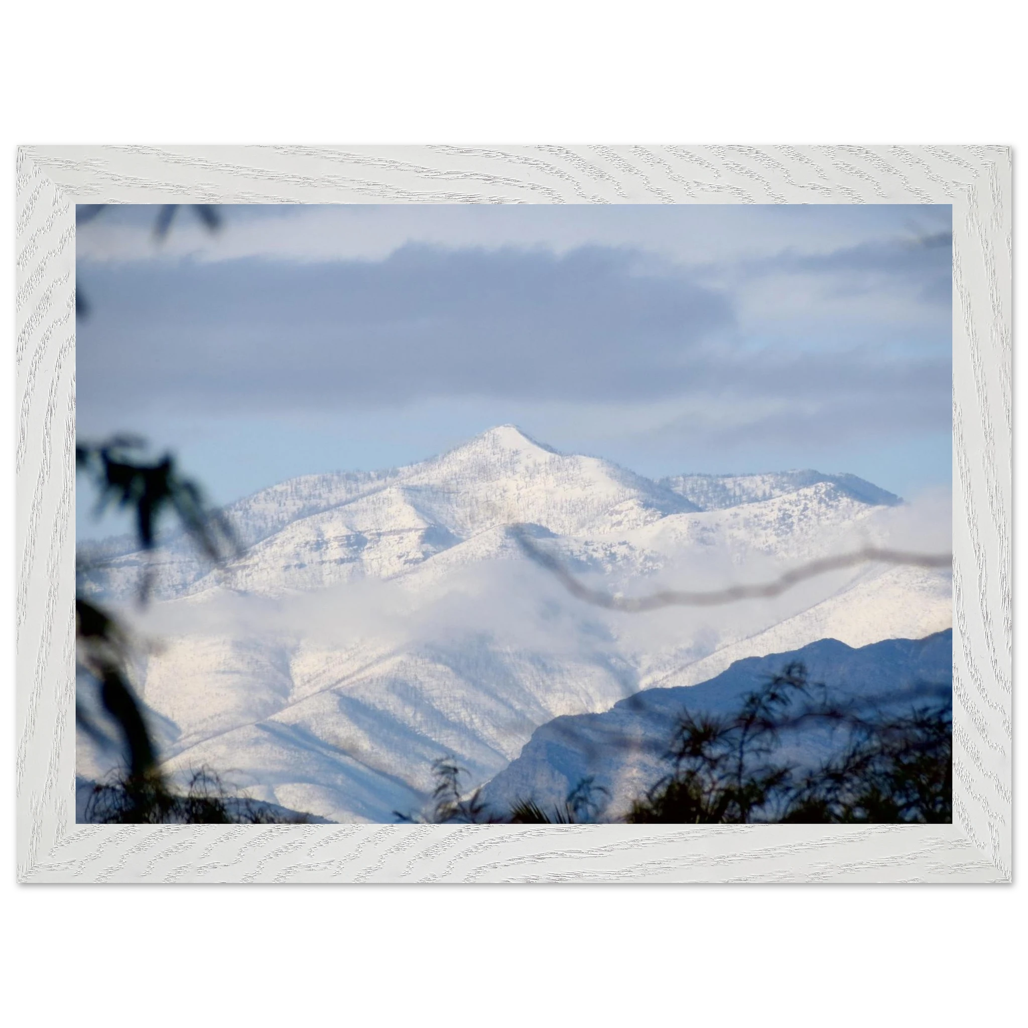 0858e373-c5a1-408e-bd65-d3e6c5c36101