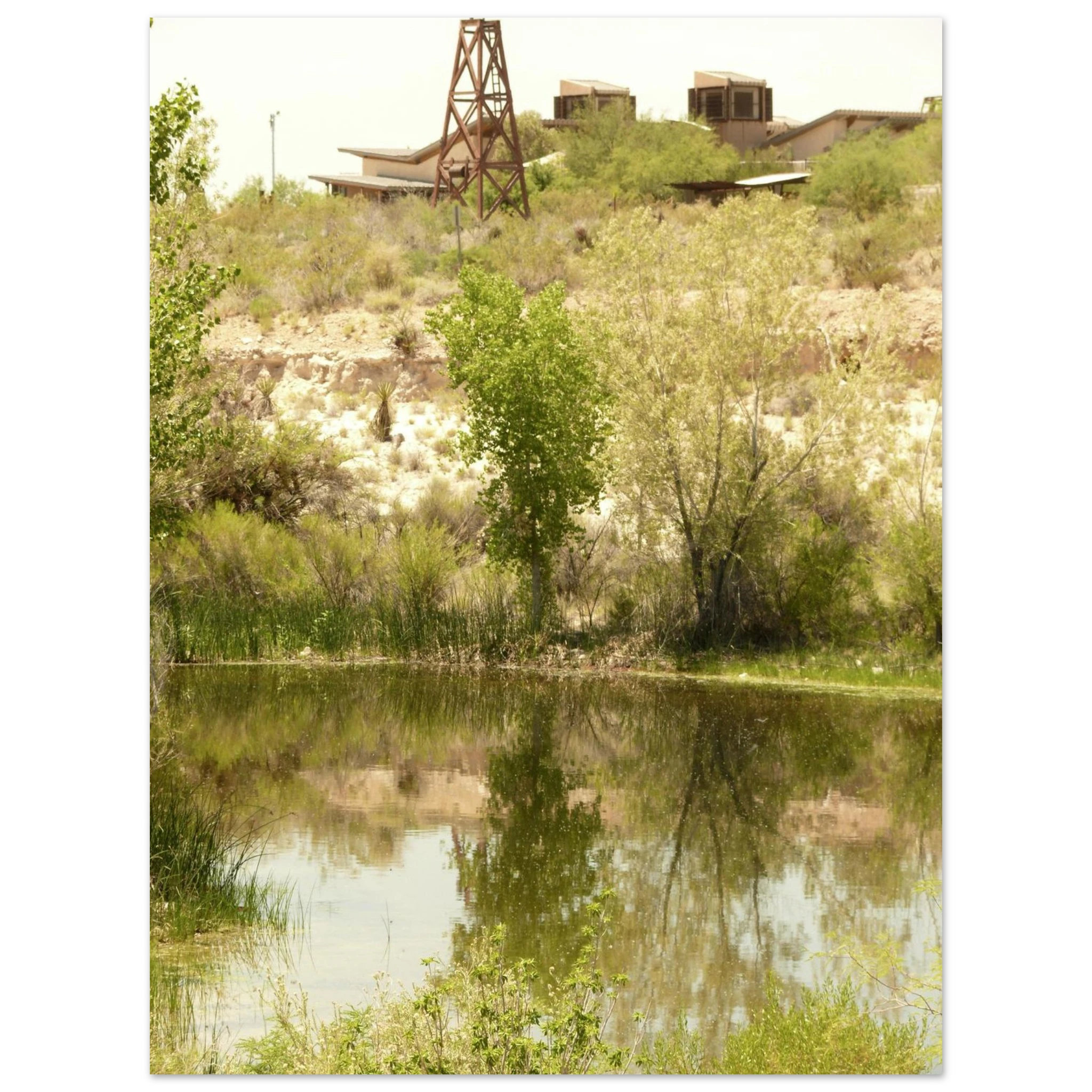 08e971f7-8b65-466f-b7f5-3b80f0cec55a