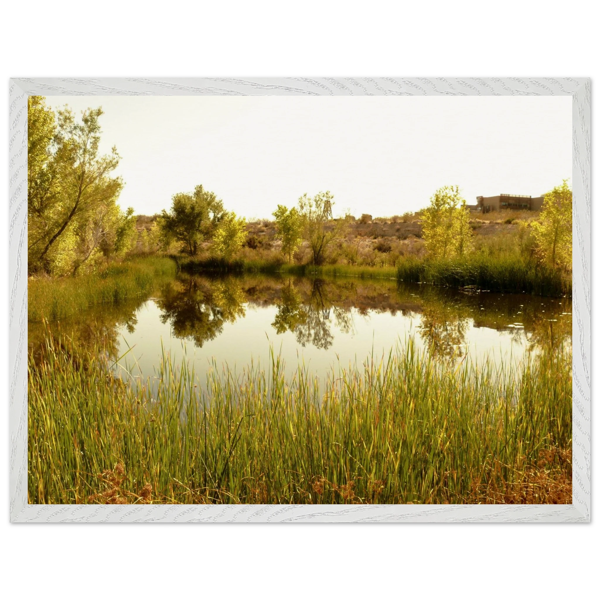 08fc36ba-394e-4100-a303-8440bc884f40