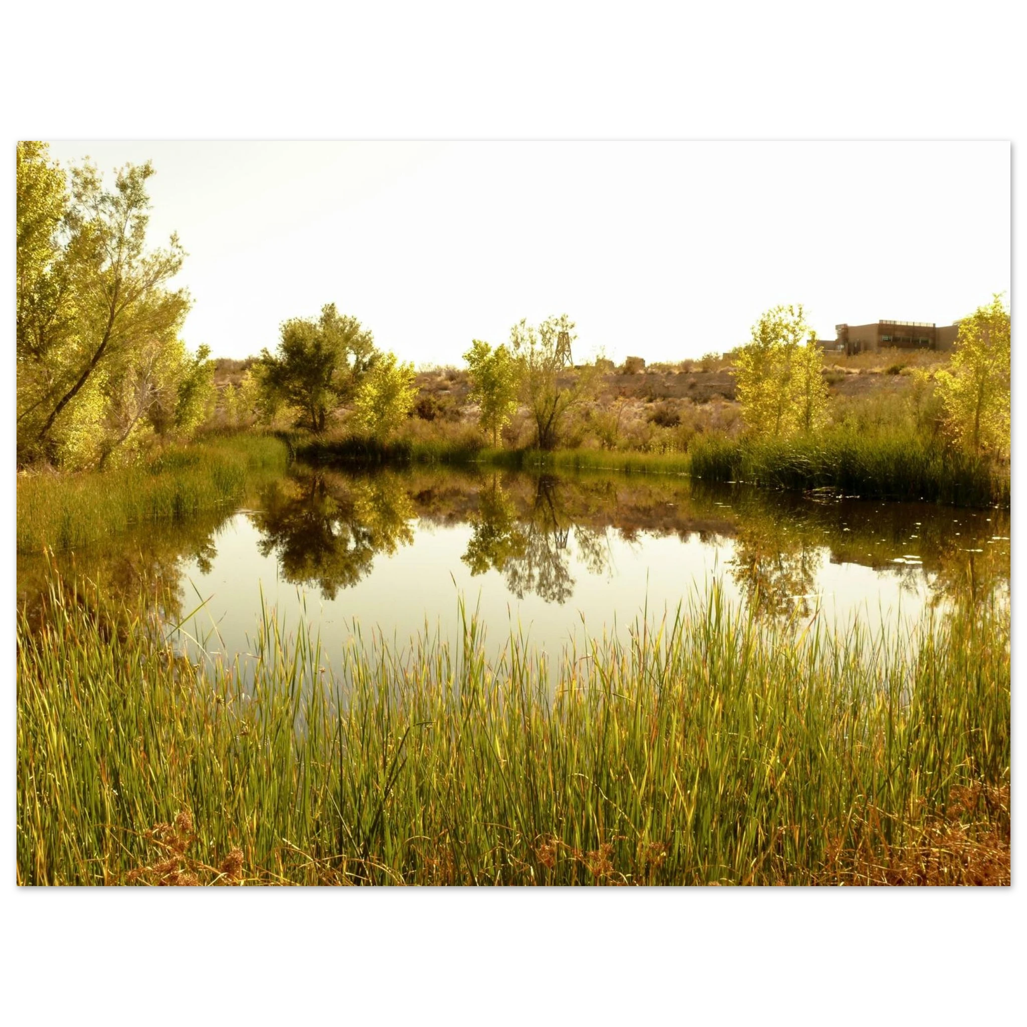 09c0100b-e121-42e0-b2da-d91cfb807216