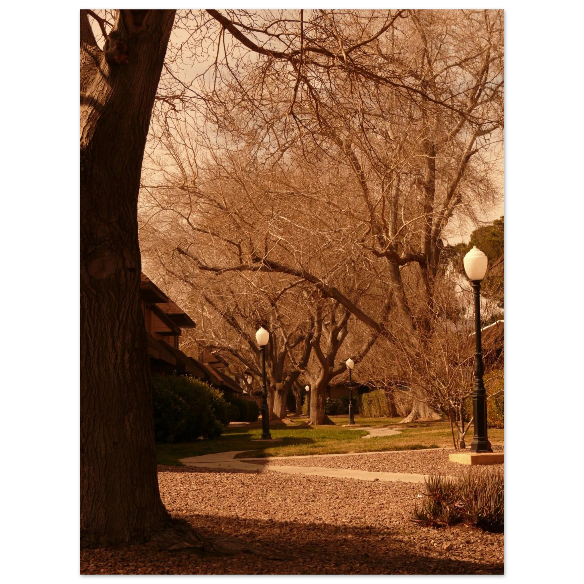 09d2e204-4124-4131-b210-5034e3b4b14f