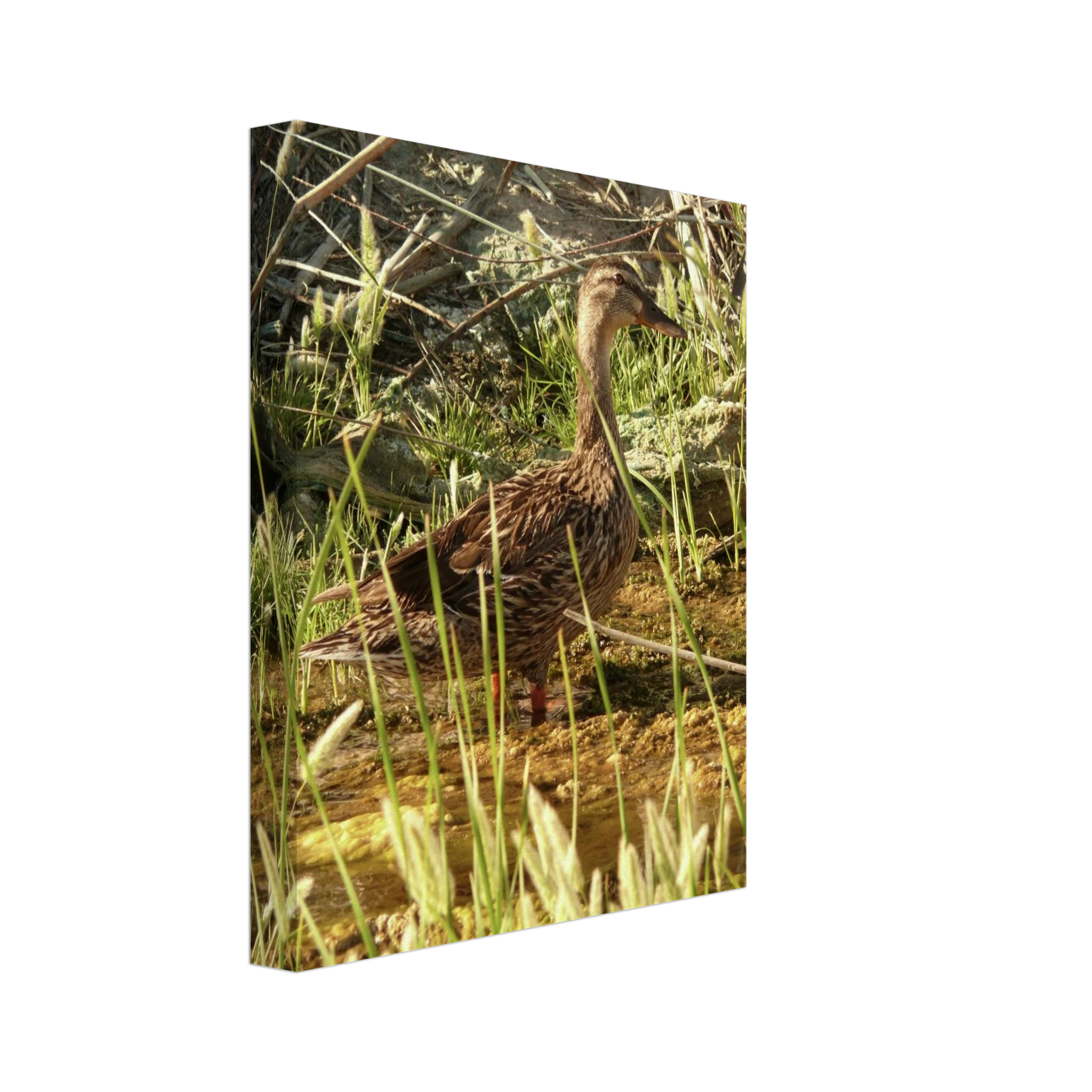 0c3ae67a-7908-4fe7-a840-22f7e8274ca2