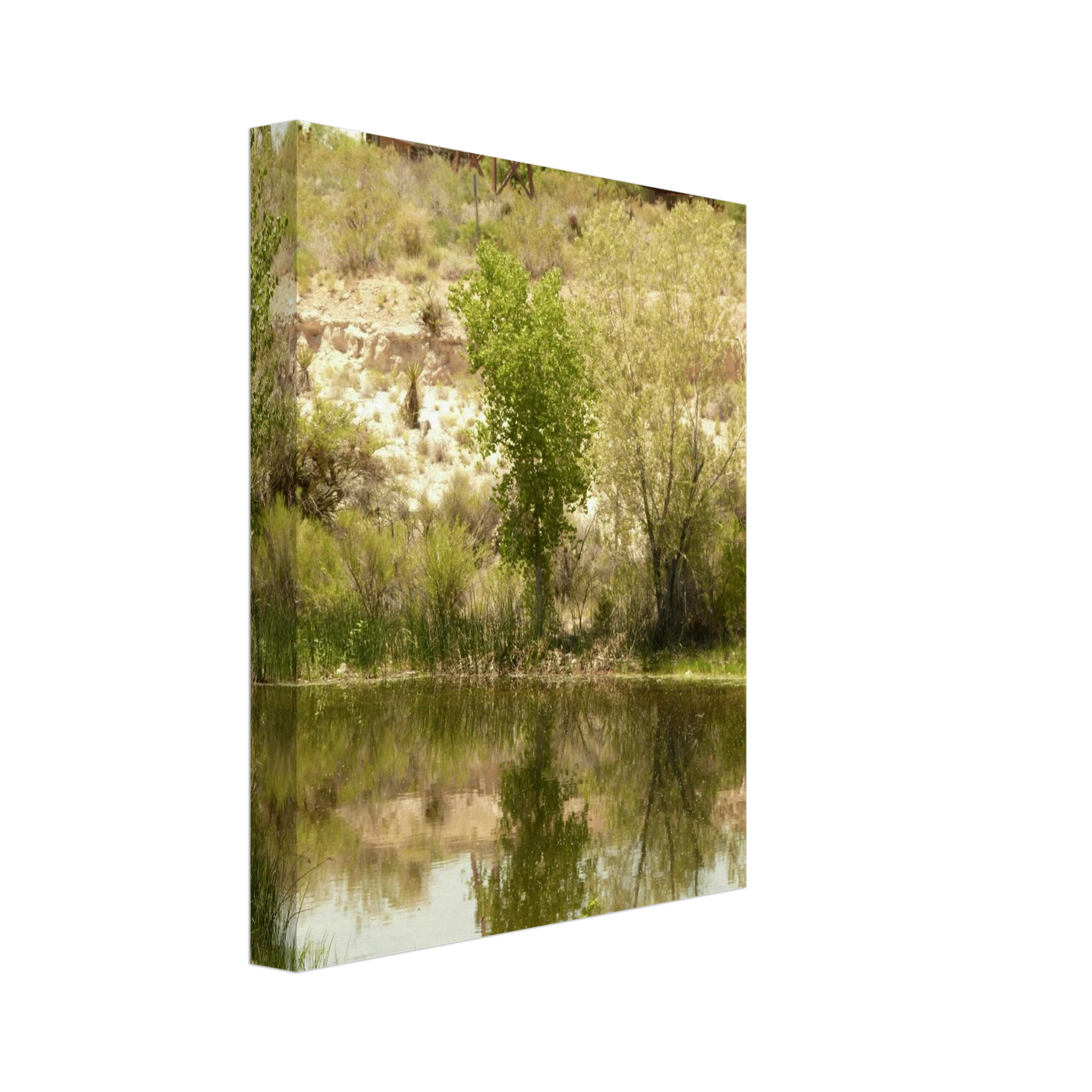 0d838fd4-3e52-4a23-8b73-070439ef46fa