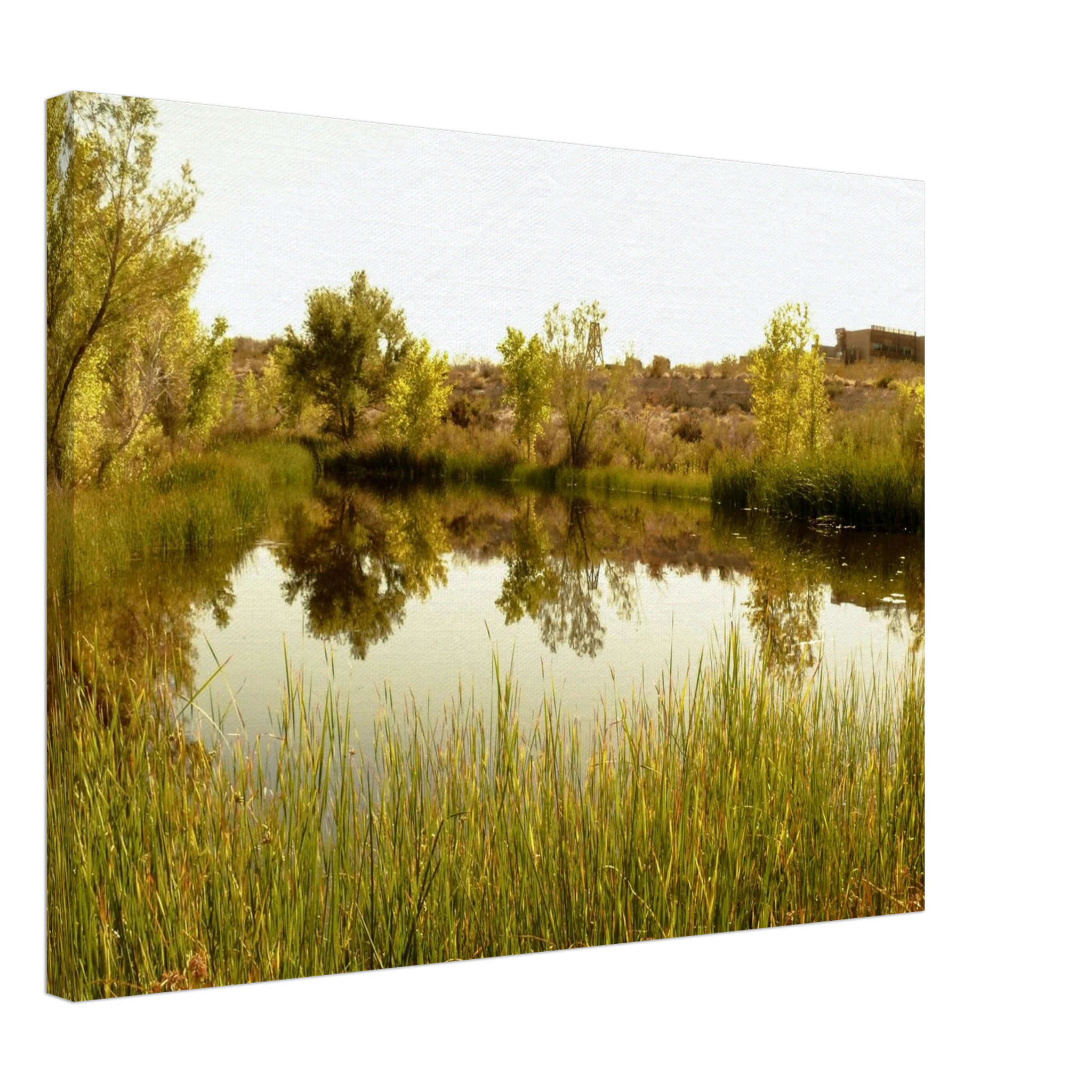 0eae8f63-151c-4be6-b1c0-e625d9a0c128