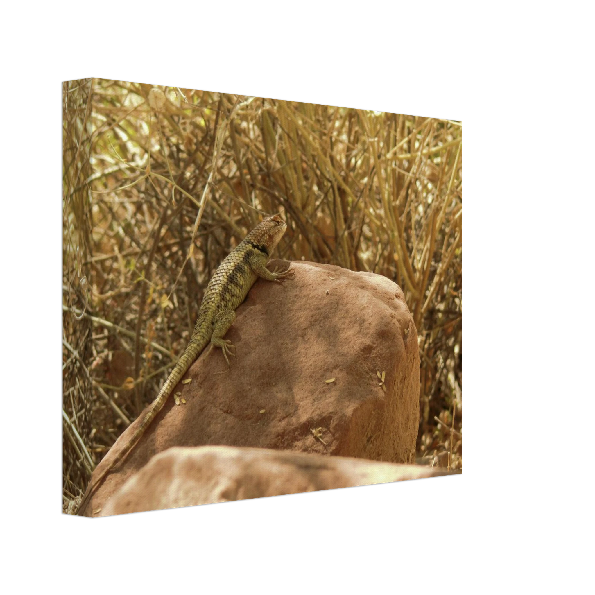 0ff7756c-a8fb-4d0e-a46c-643022ce9770