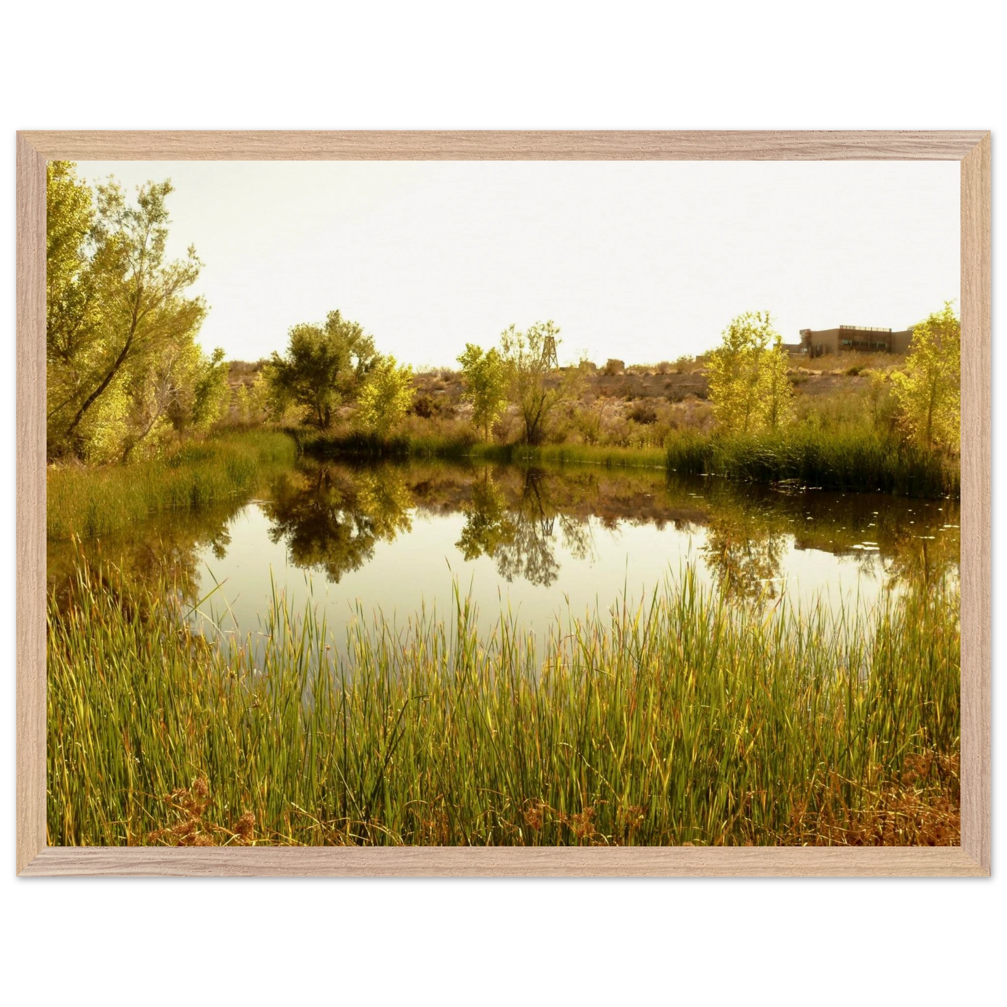 129f80d3-f862-4994-8305-f225755b5704