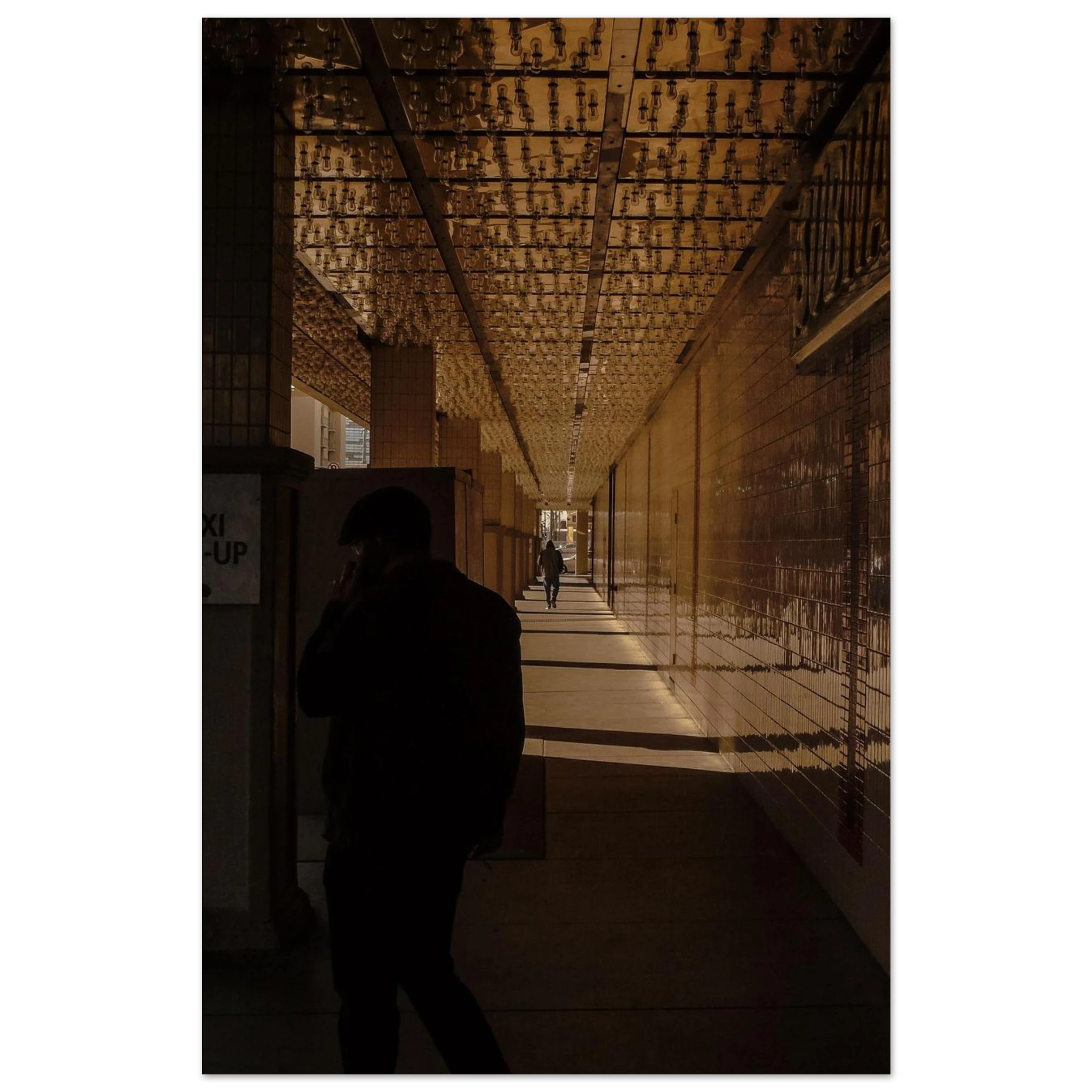 17de09e1-6933-46ff-a3b1-0c66cfd3a0ad