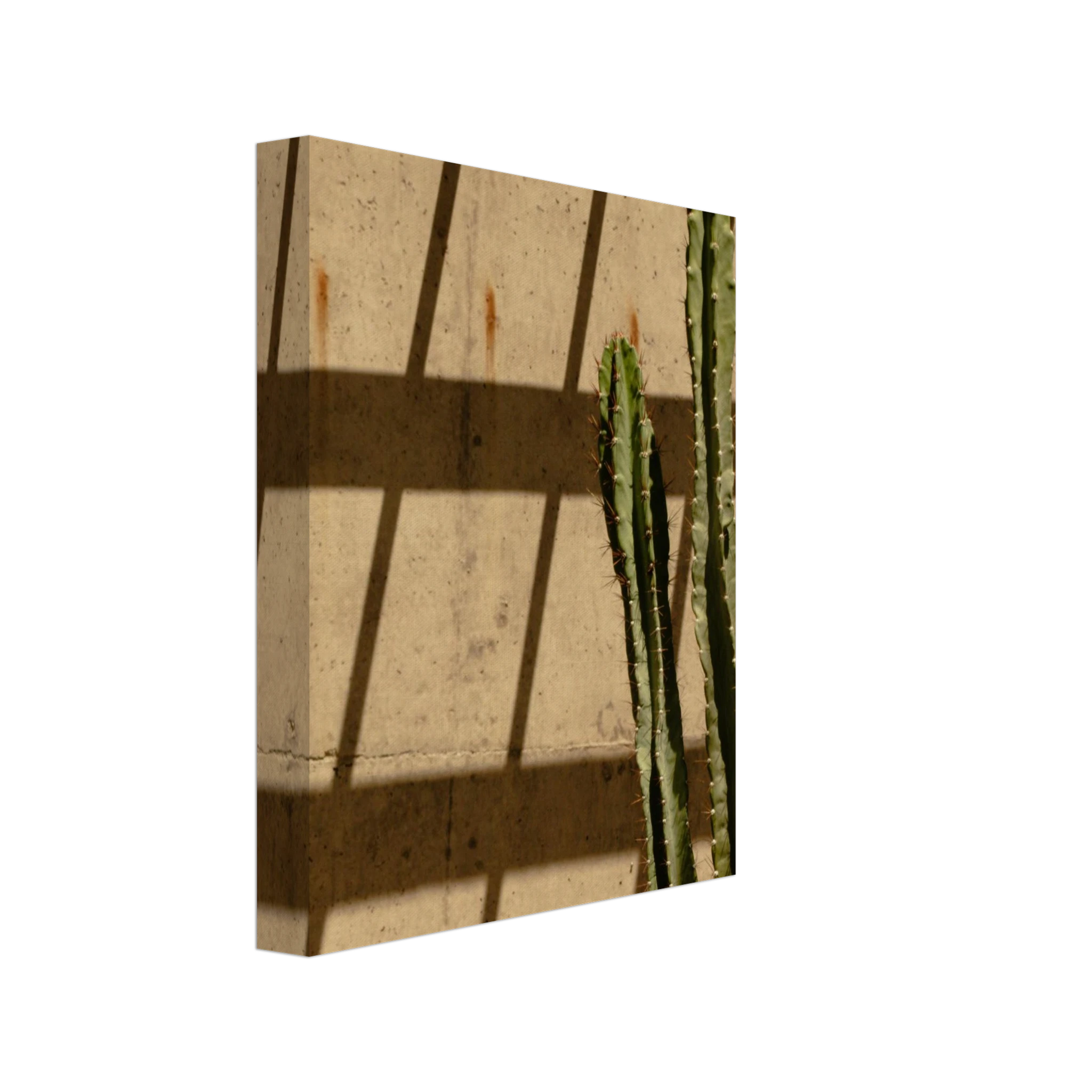 1886172b-647d-43a2-b37a-9275041a80b6