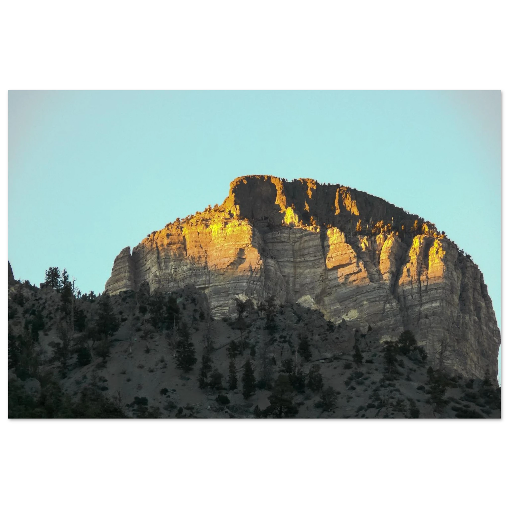 1915819d-b71c-422e-9807-7a80fb568707