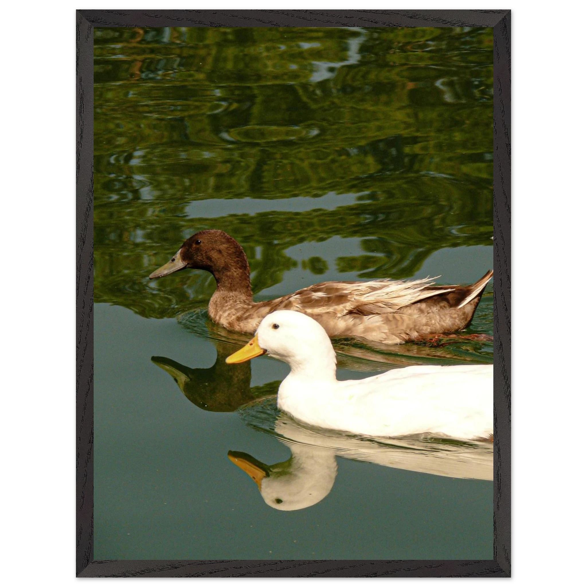 1c624993-3015-4255-ab18-0b76e288da34