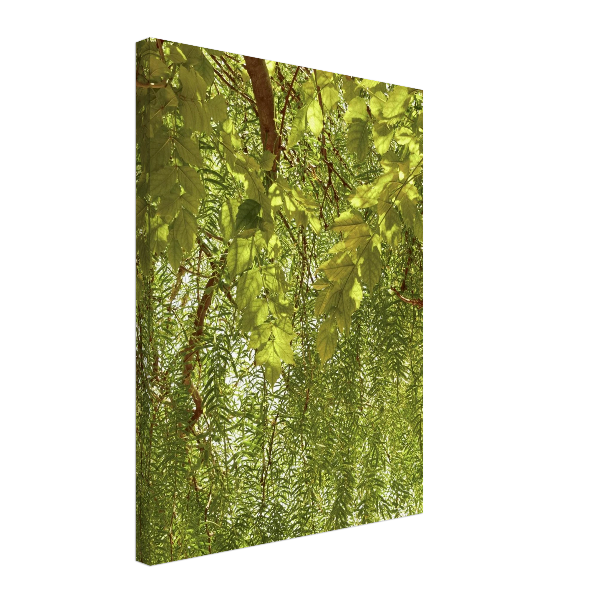 1cc34427-622a-4c86-93d8-2f59e3484d11