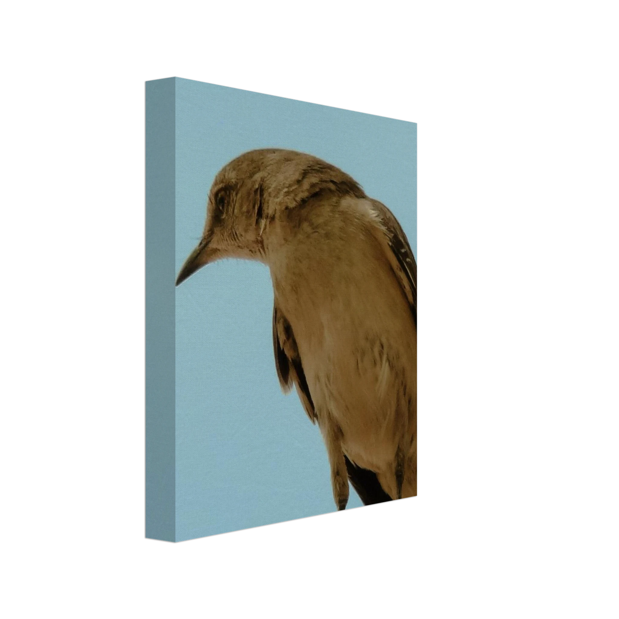 2048c024-893b-4af9-b9fa-79c508a102ad