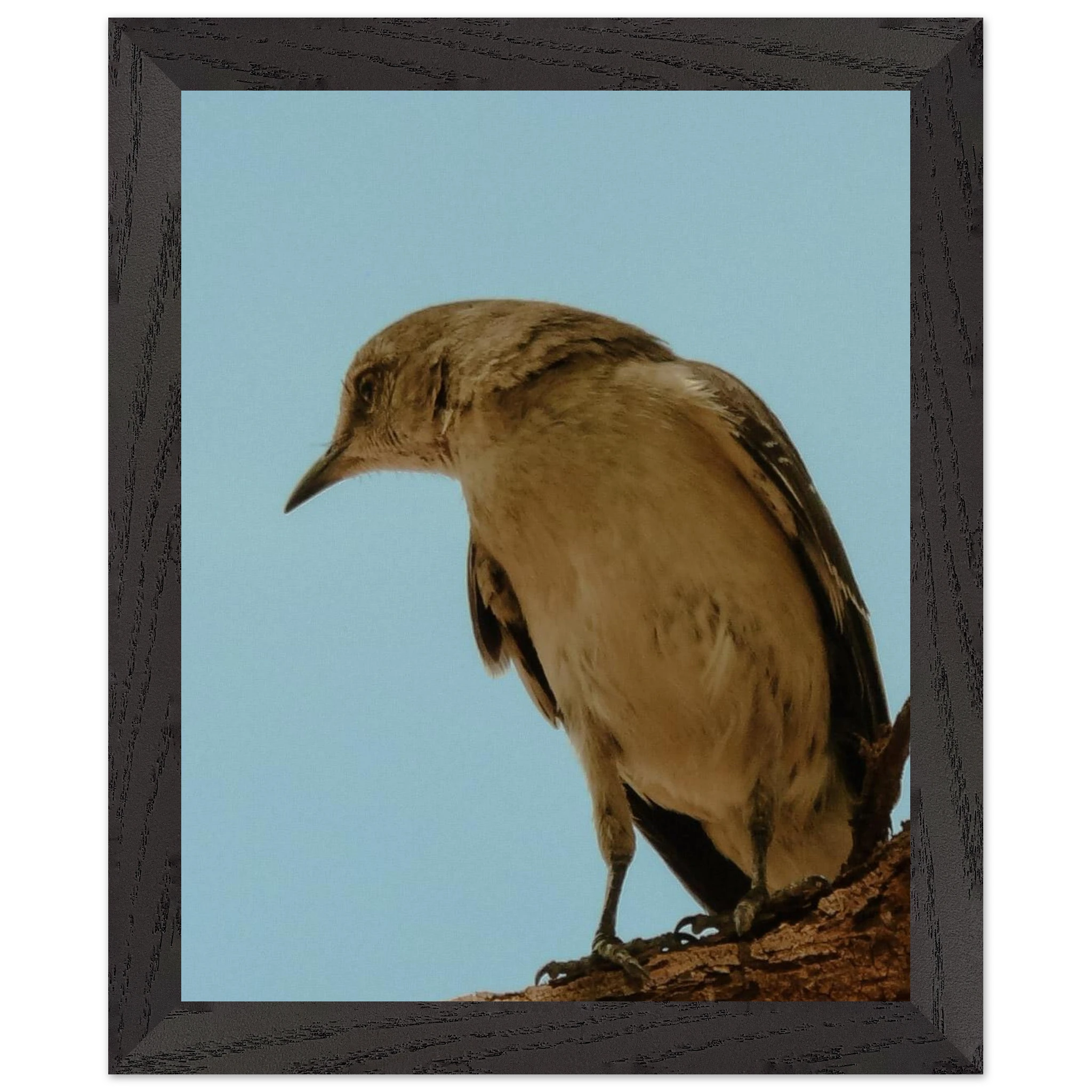 253113d4-0346-45c9-8e9a-edb16e187671