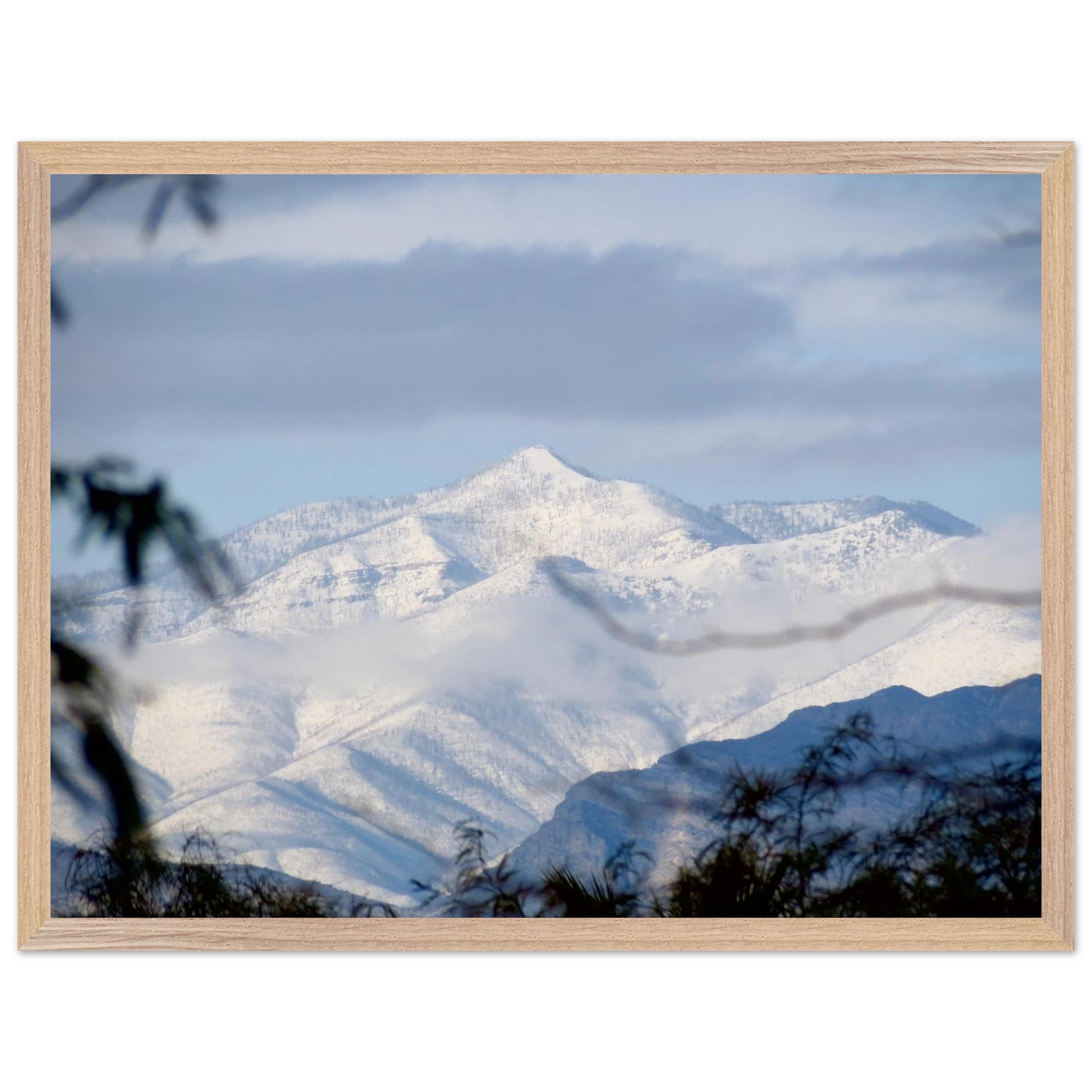 25afa25f-86fd-40f2-9eca-4a4161106d23