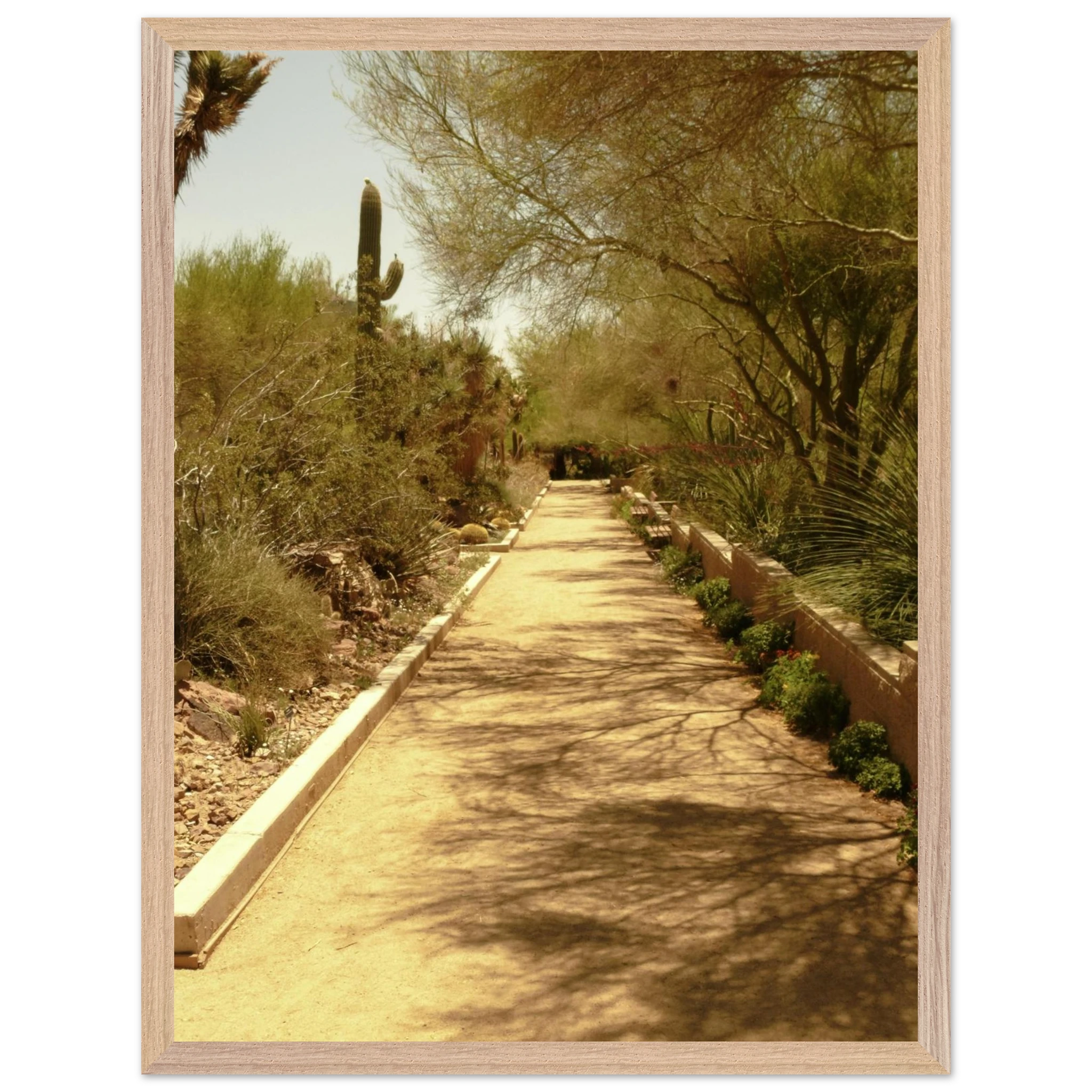 269782ae-0577-4a6e-a1c2-b7a6904d5a97