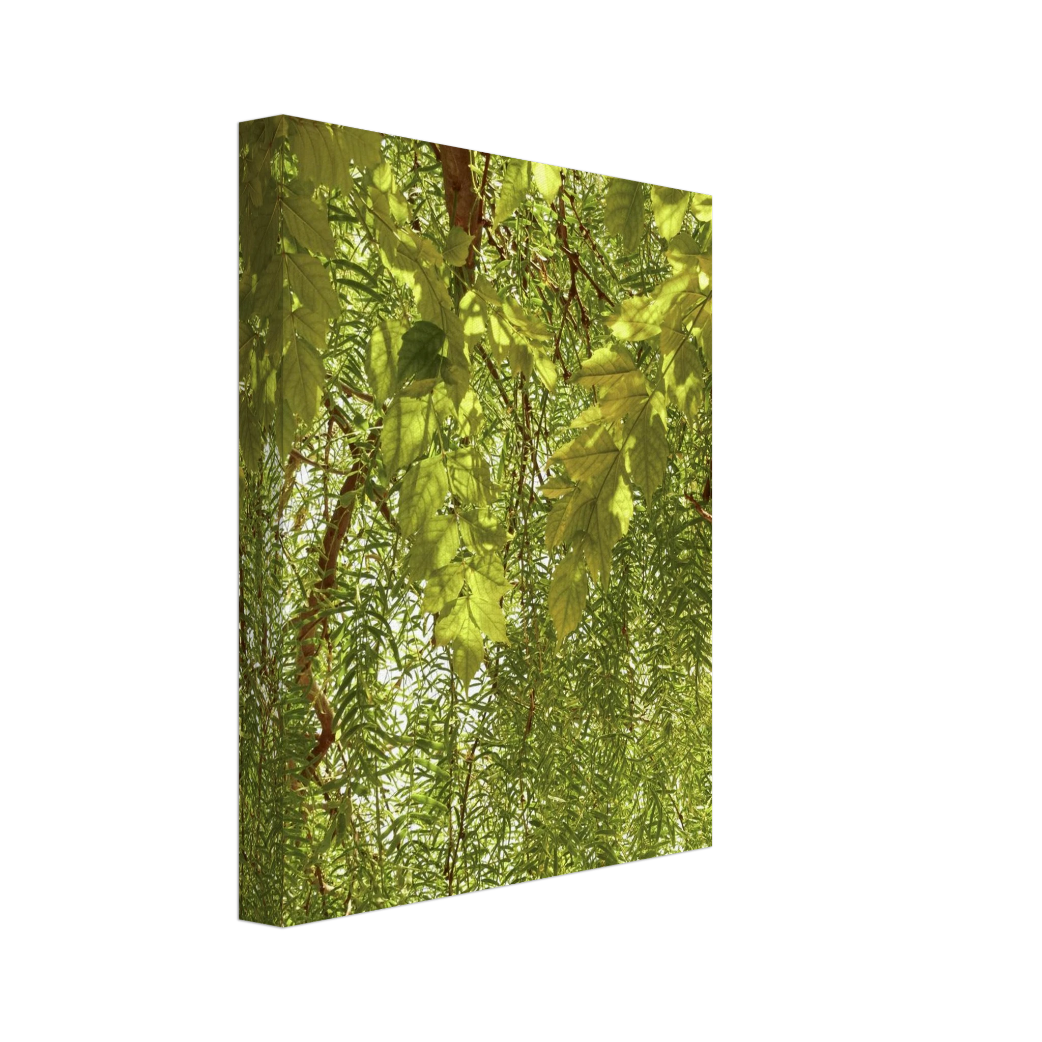 2a3cbe8d-9c8e-477f-ac97-4d102d844019