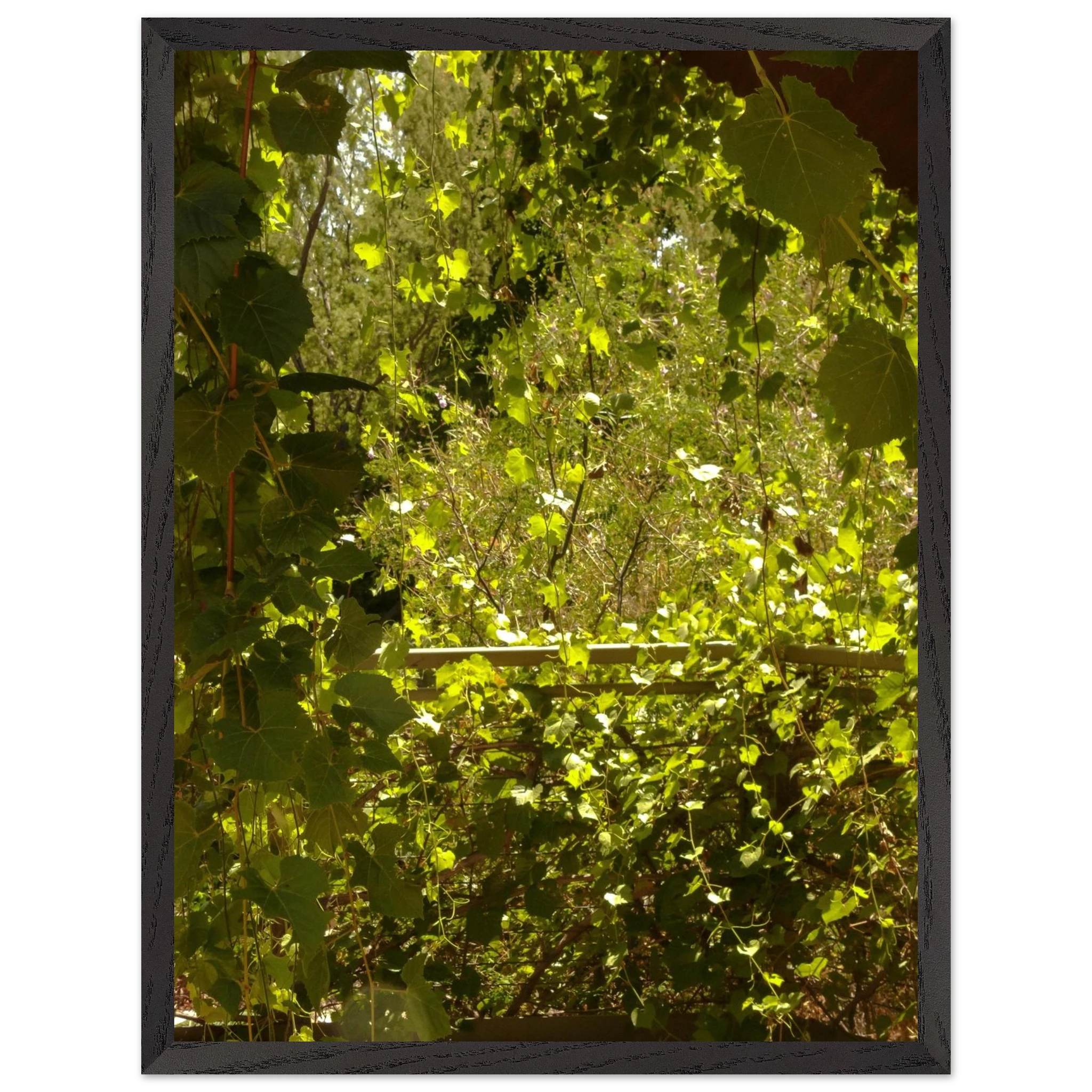 2a83da49-7b7b-4204-b8a3-141ba9776dfb