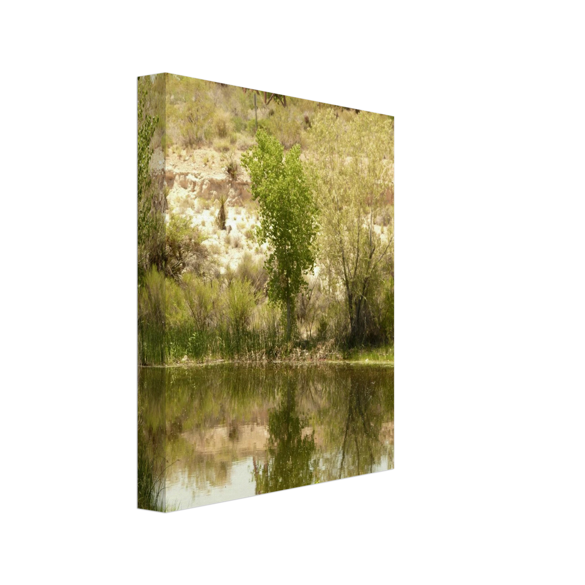 2b26b656-69b7-4d0c-a676-7089c4fd4f9f