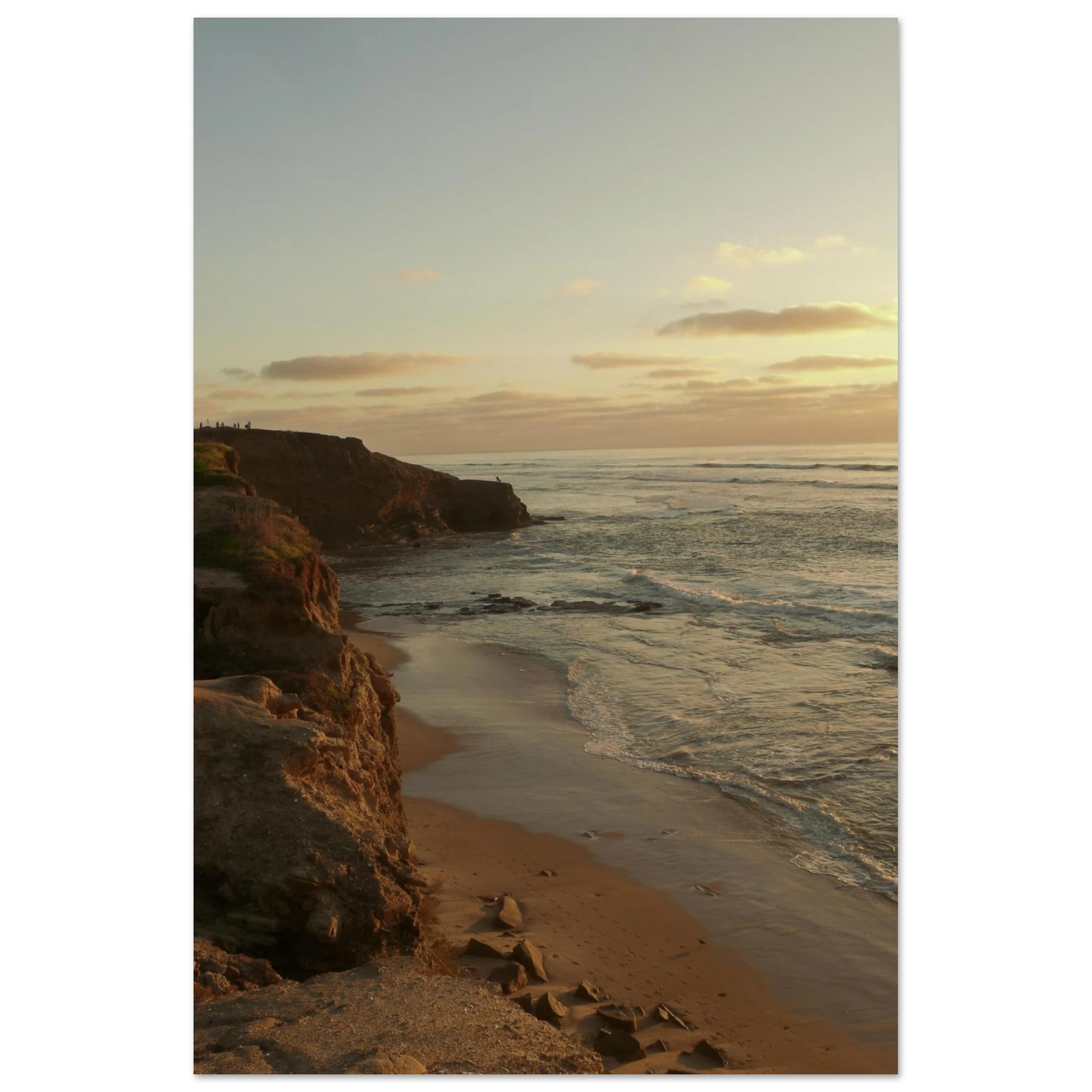 2b44f554-f0cf-4959-990b-500c2e636b1e