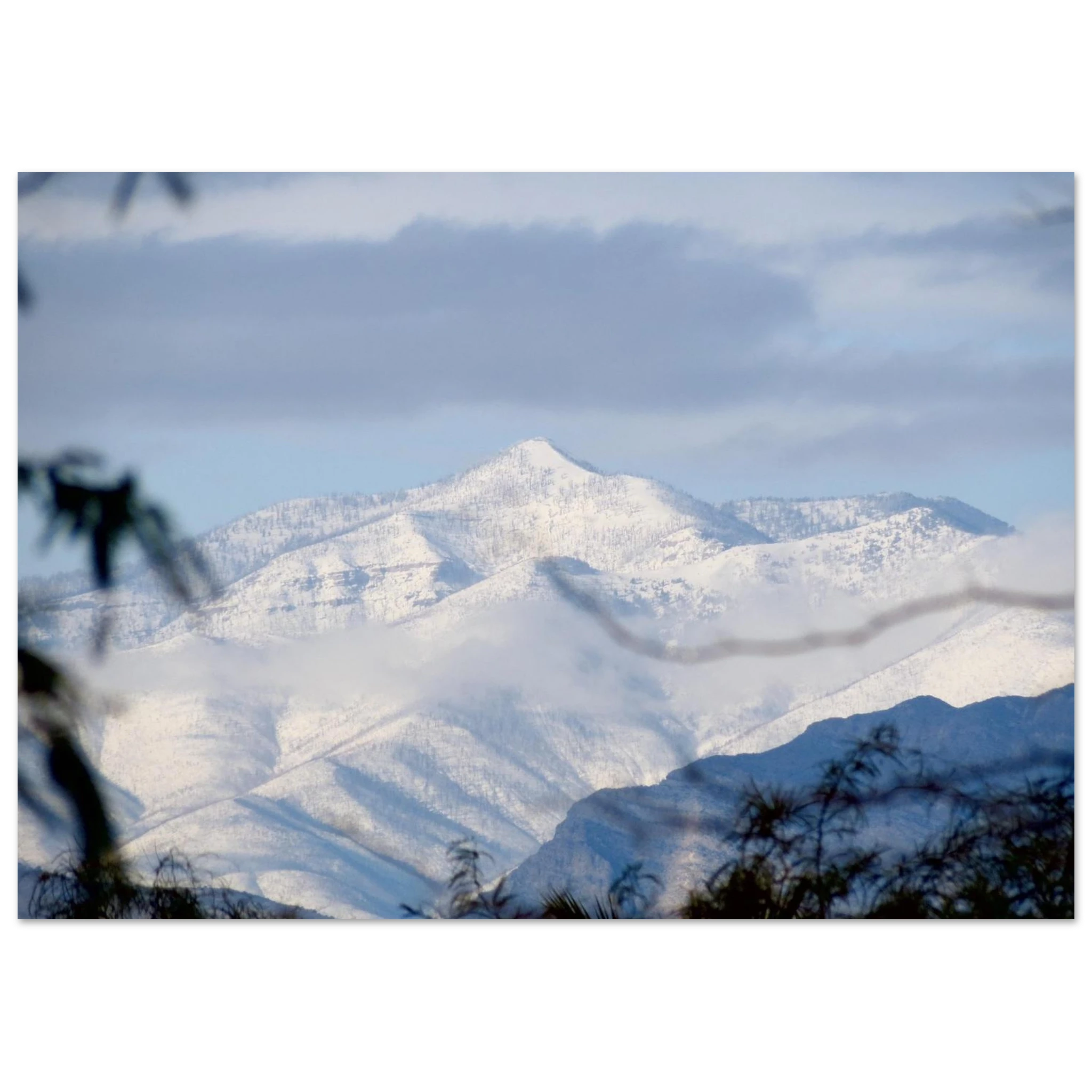 2bee45b3-7ce7-4088-8443-f3fb98d1b53b