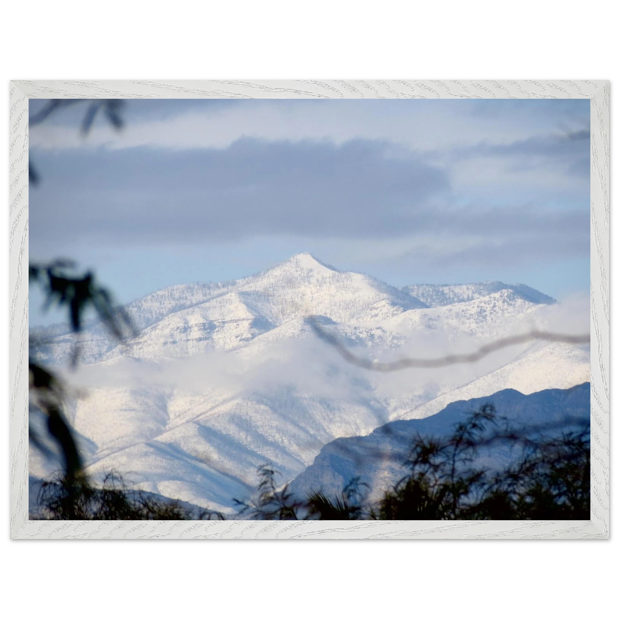 2ce464c0-c60c-425b-8e49-a22400aa1686