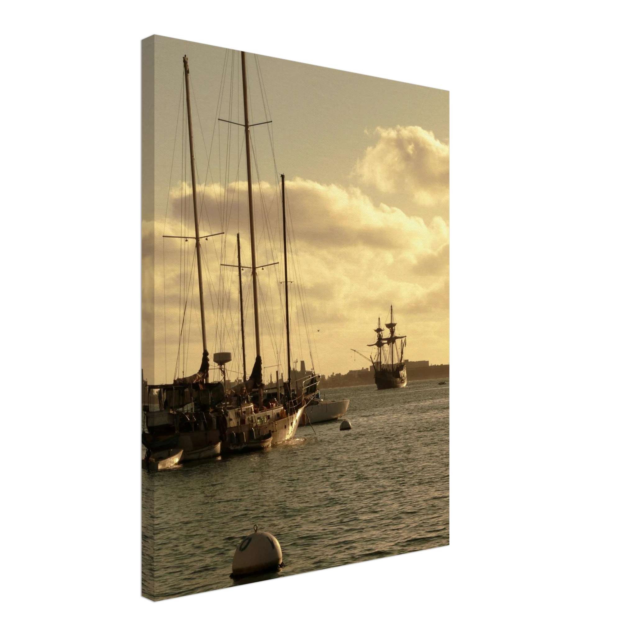 2d5b561b-646b-46ba-8226-84eae471986b