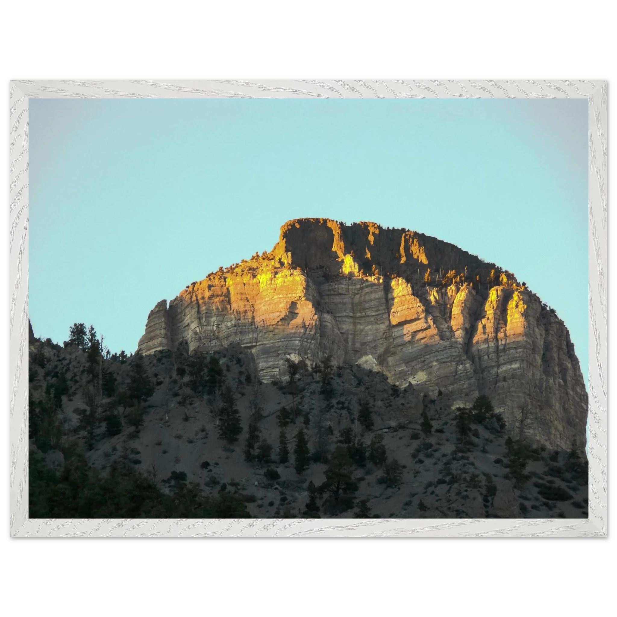 2f0d2501-8c7b-4829-9220-c6034a561cf0