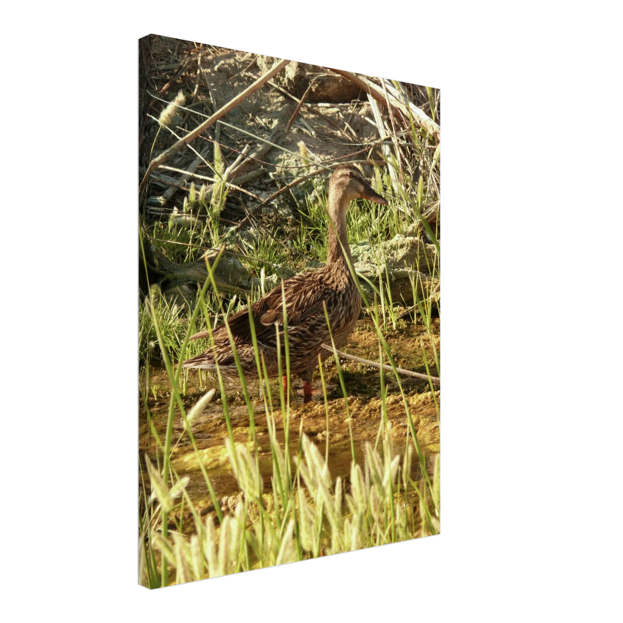 2f2f1f2c-cce2-4440-ad8e-08593ba0e12a