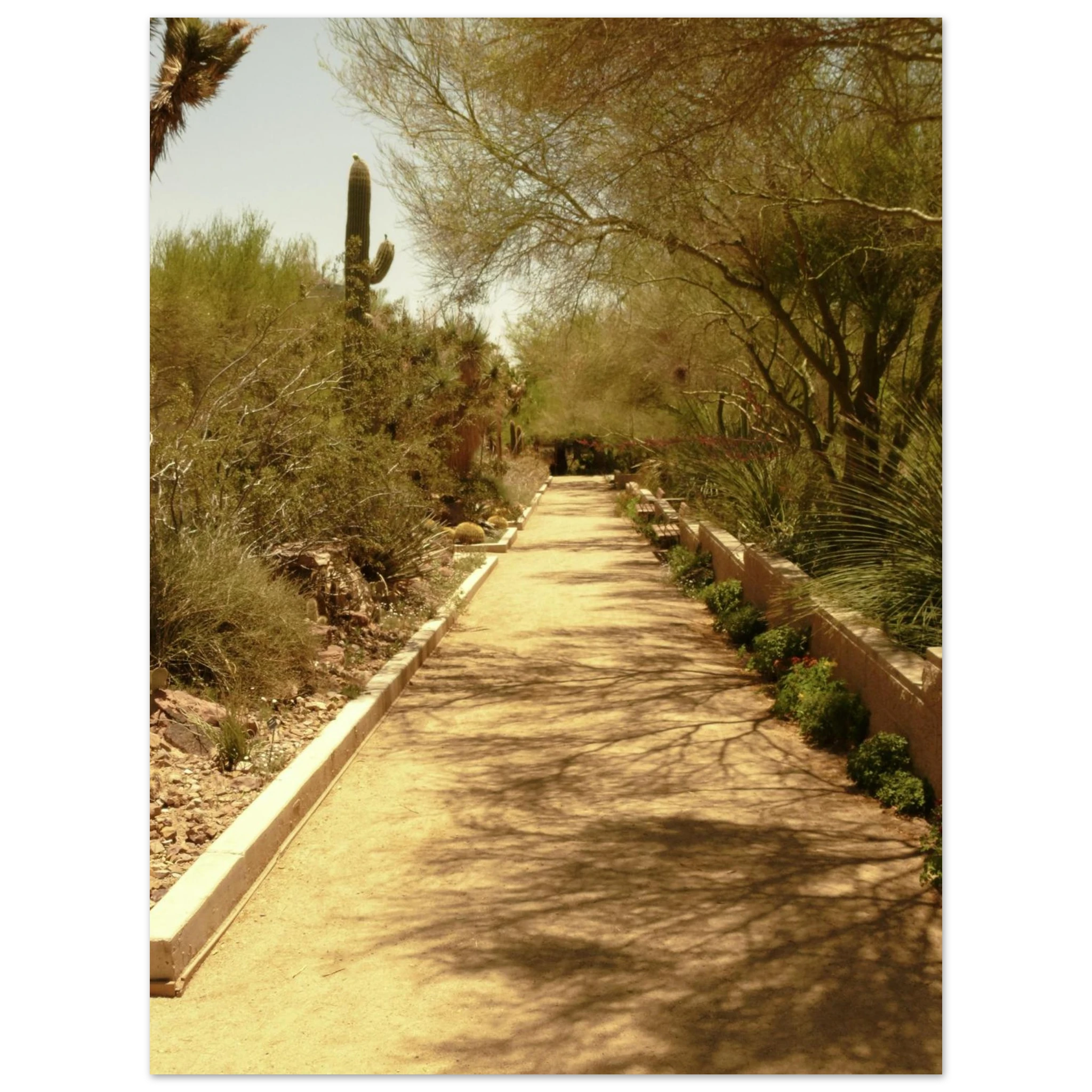 34d89761-f41e-4bb5-b491-ec6a387501a1