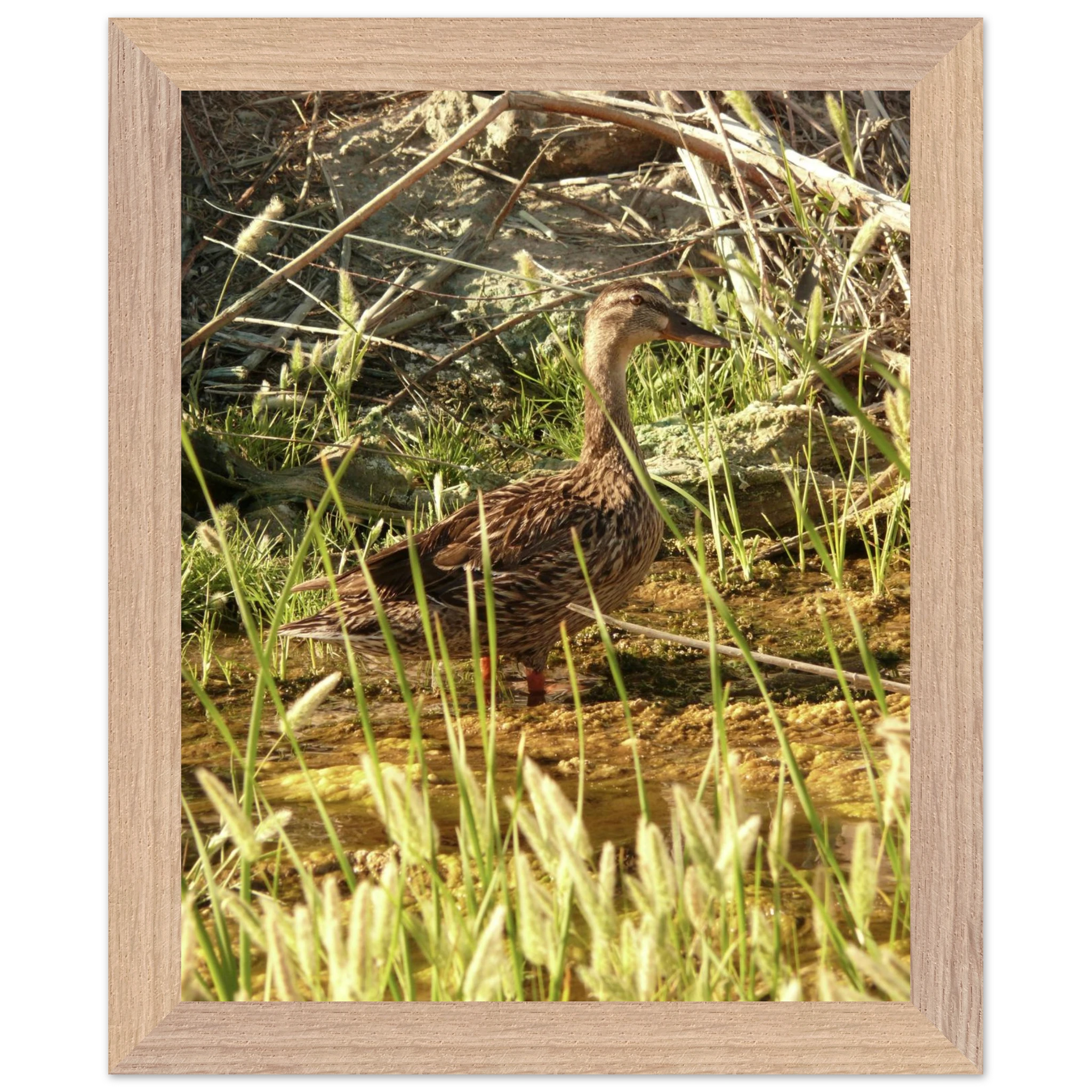 34f9126f-faa9-443e-a5c2-91868f090fb4