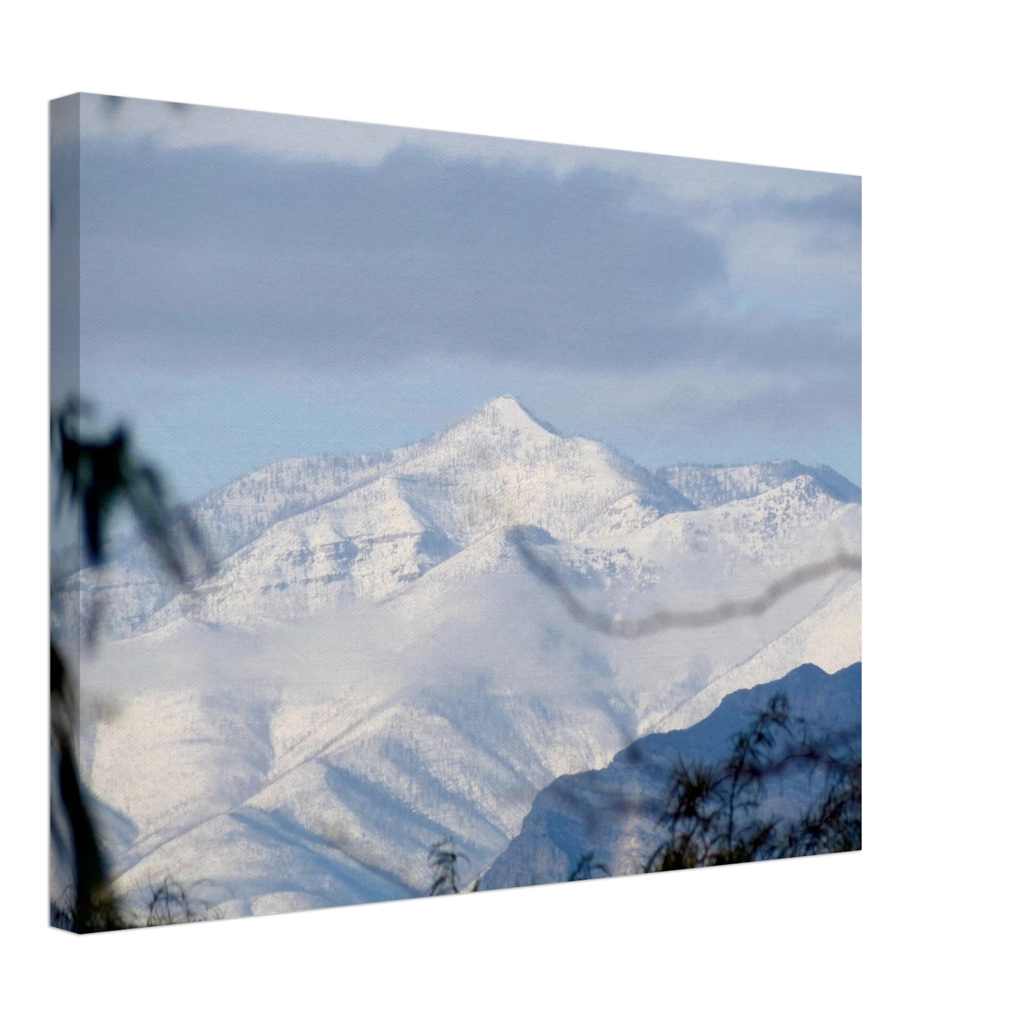 36e05934-9c91-41d9-9a1b-f2e813f25b08