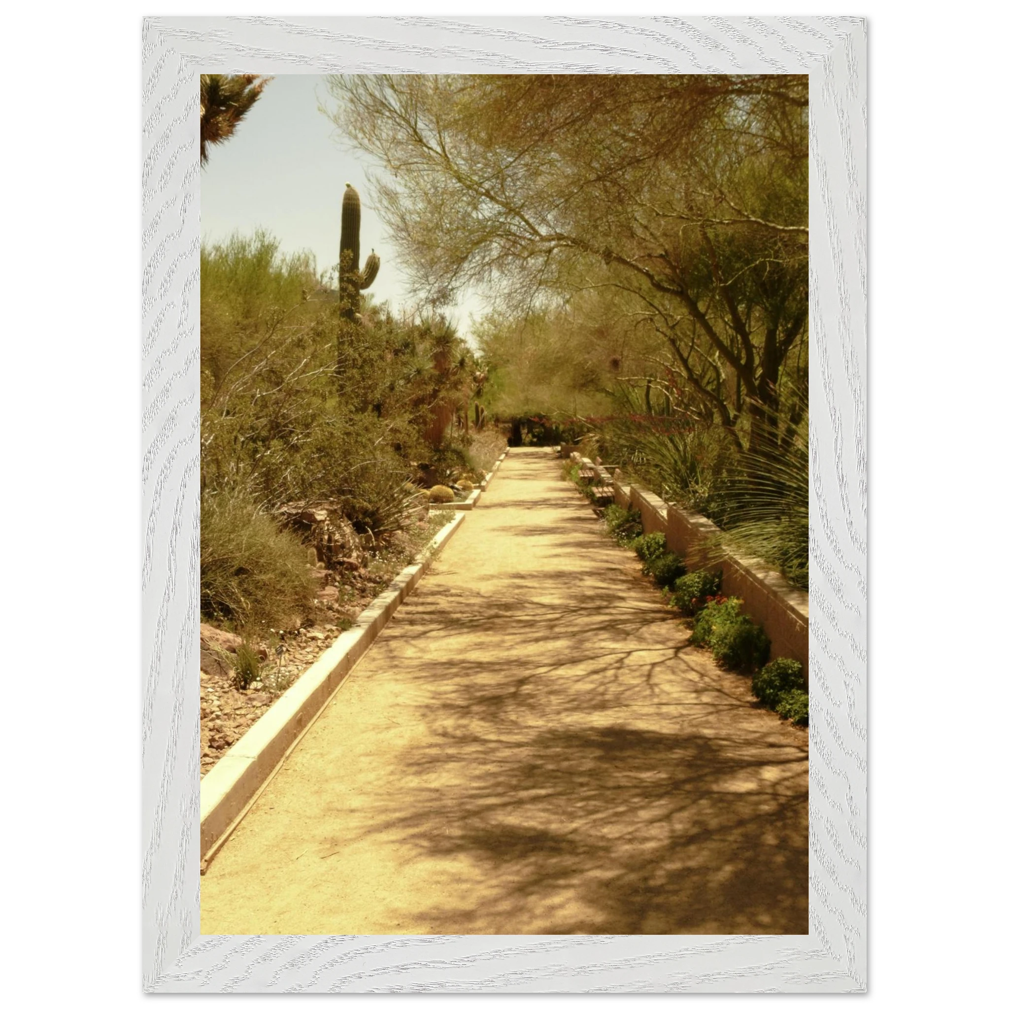 37c23a4d-20ab-4201-b040-c818e0f4e664