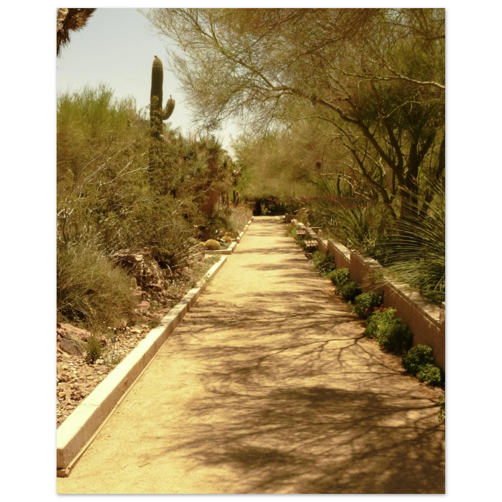 37e4aab4-e515-47ab-a44e-ed1f6adf62cd