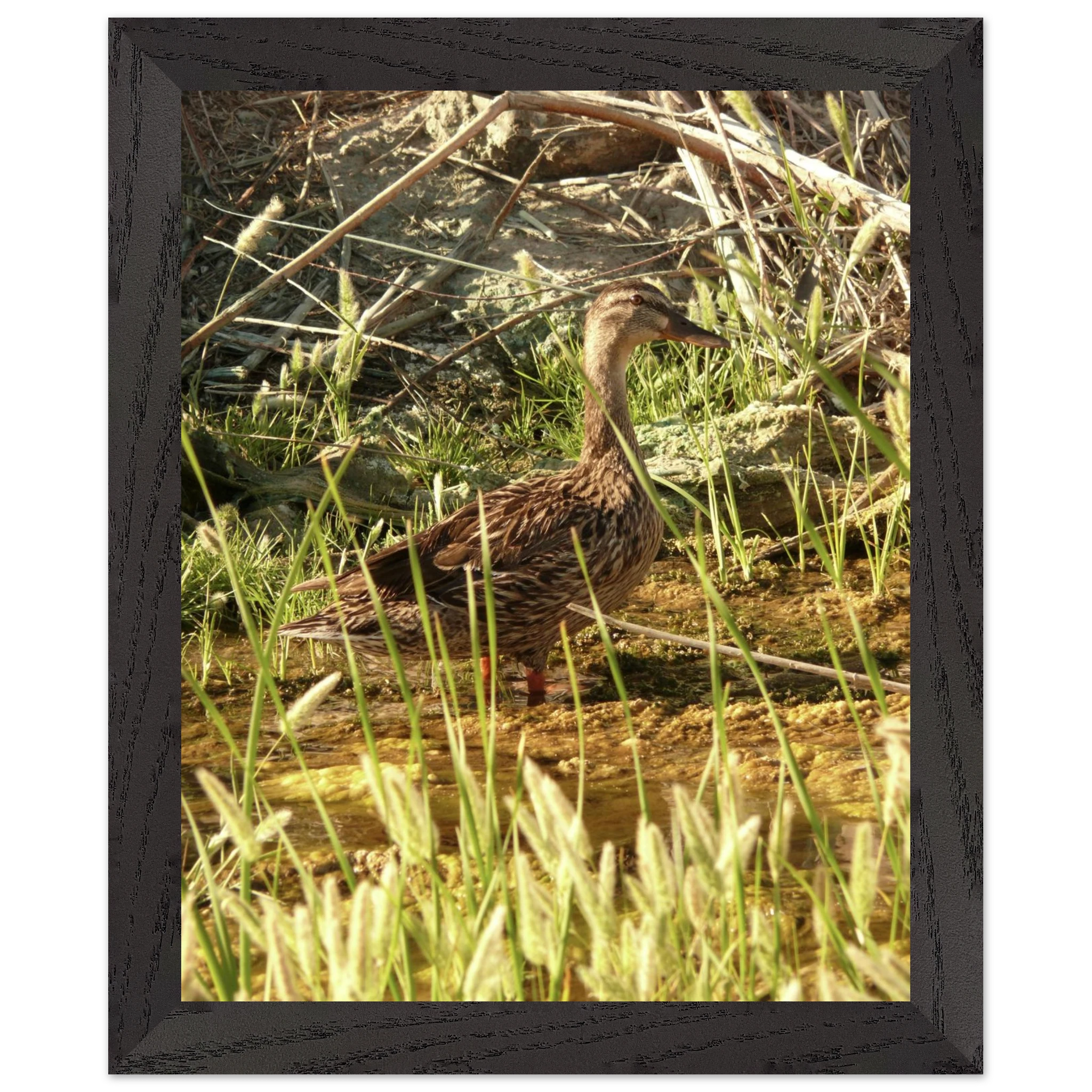 38484789-9361-4e1c-ba9c-787483c5574c