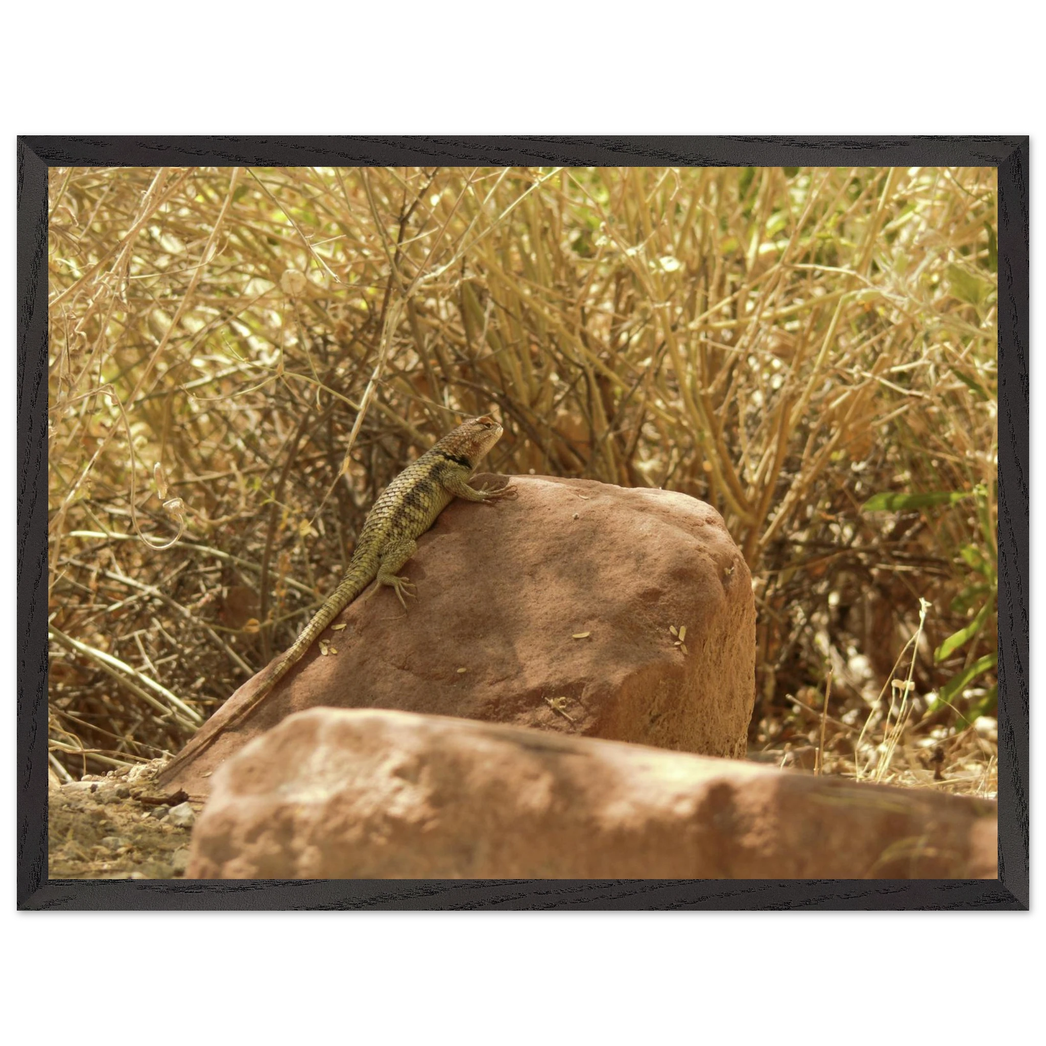 39773725-6649-4738-b123-08f9019d4786