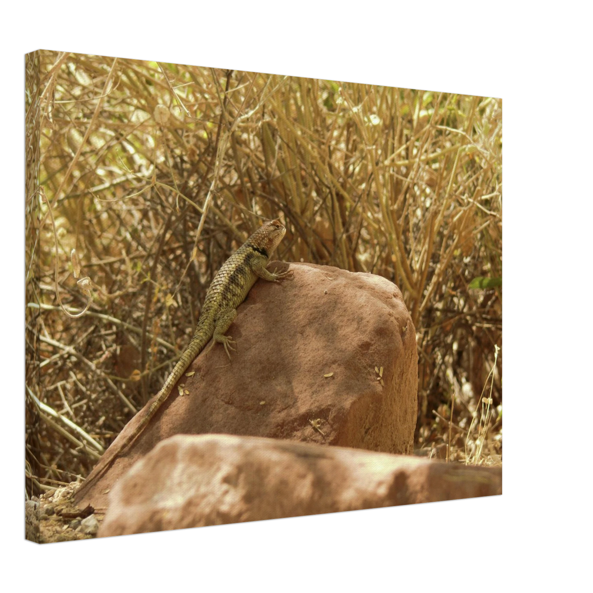 3ce98158-c4a6-4428-b859-2000a5edb0a8