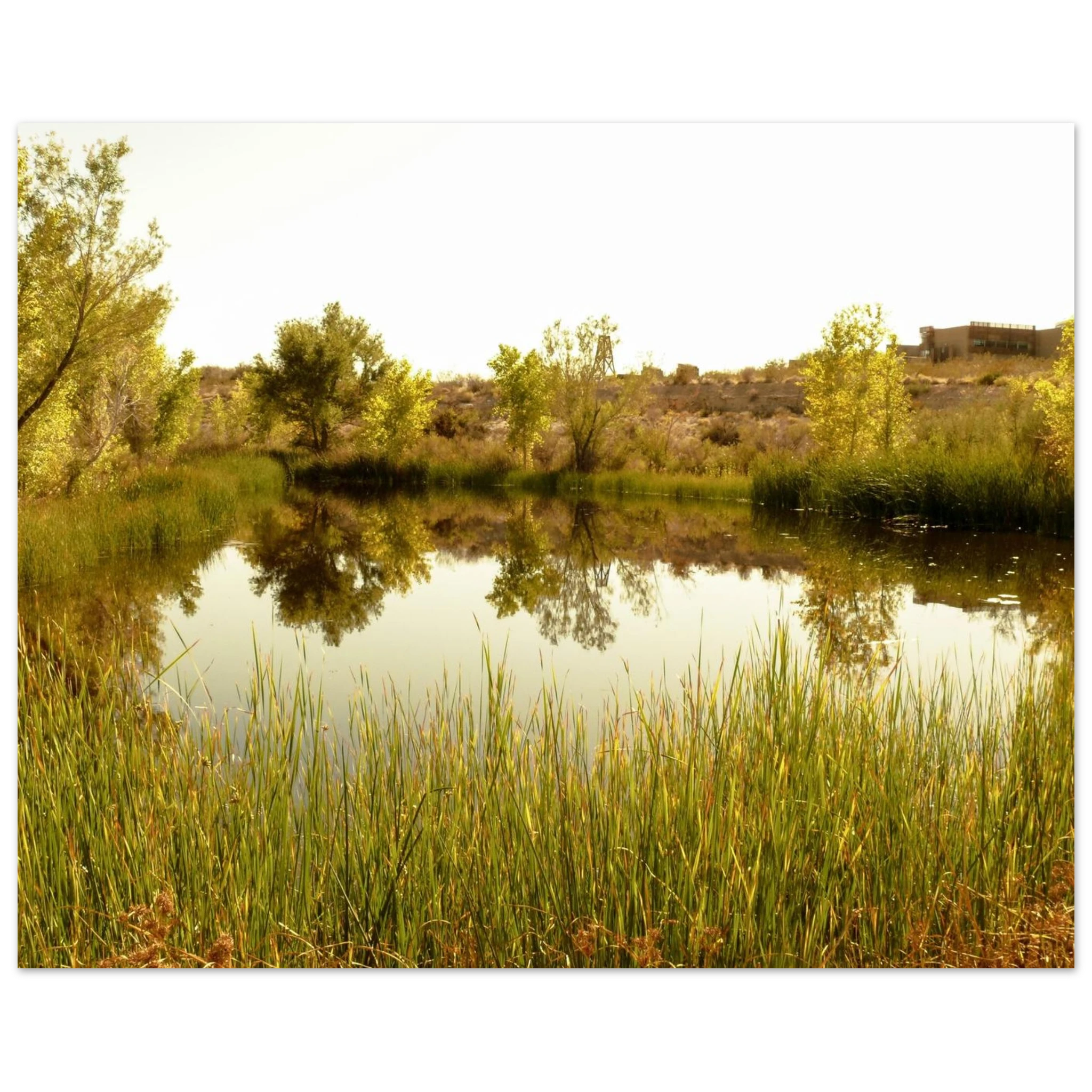 3d48fd59-119d-4af5-92be-93d57fe55451