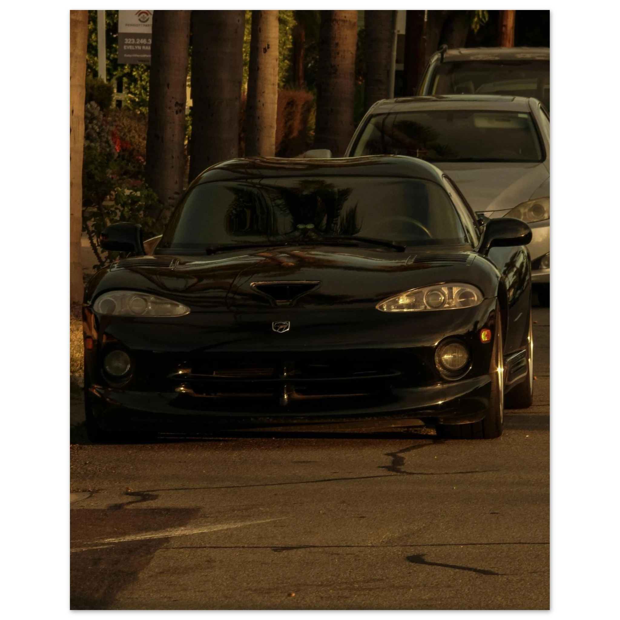 3f8c49ca-b55d-42a6-919f-74a507efd619