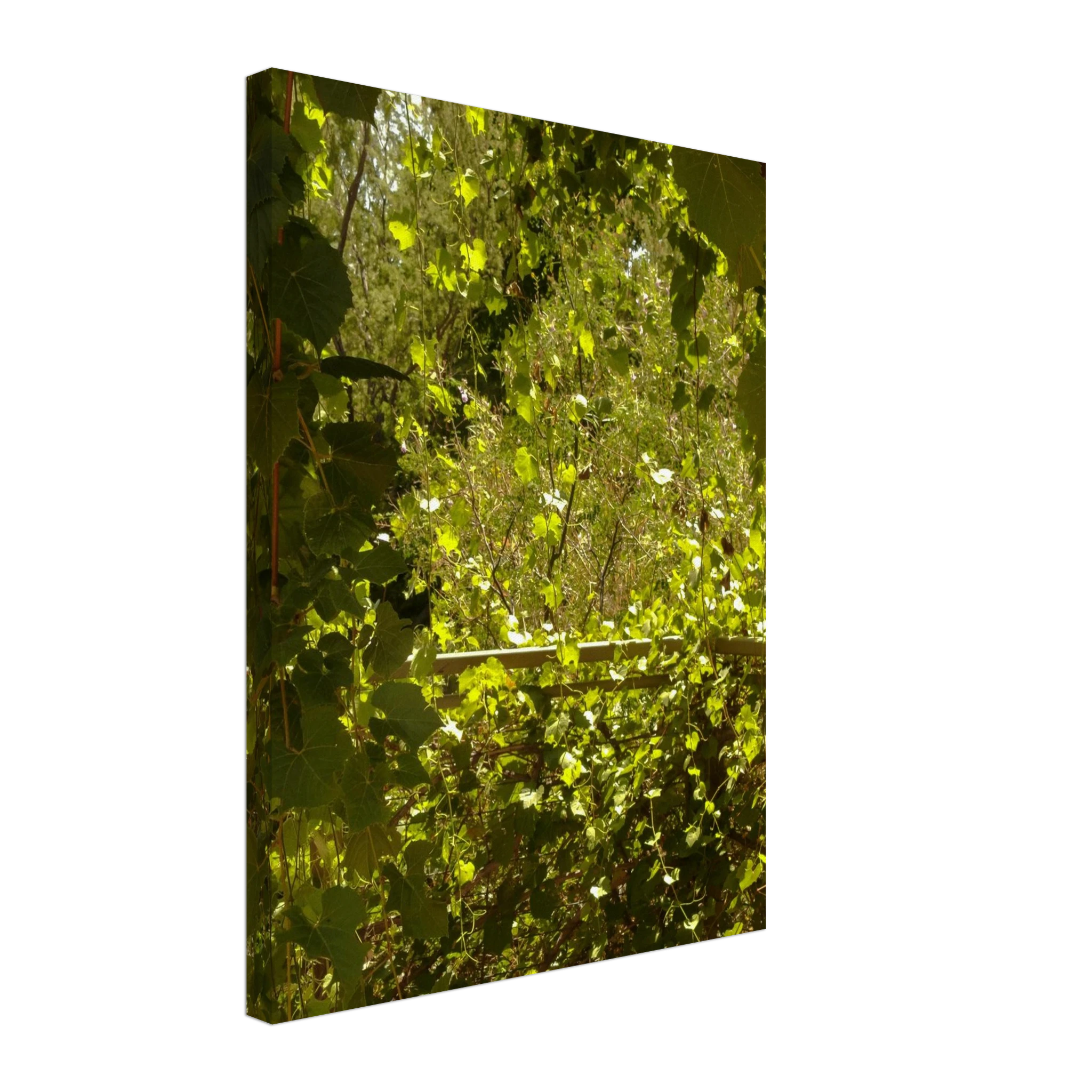 3fb71144-f5b6-4eb4-8250-eb7a4c69363e