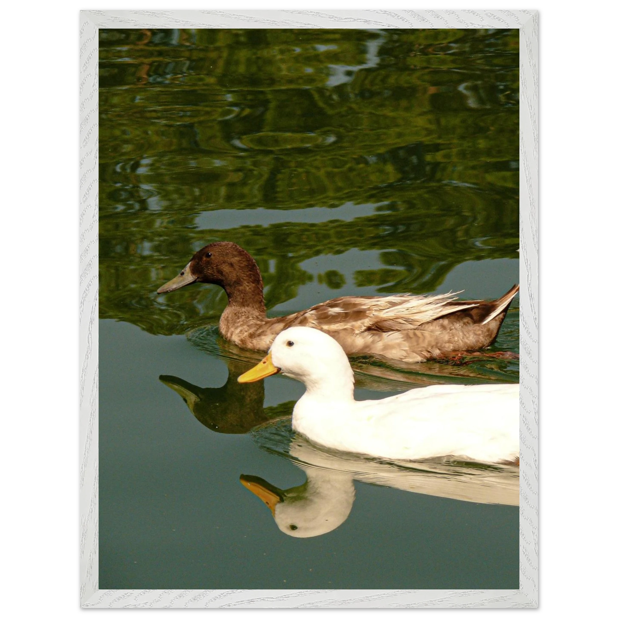 416c4189-65bf-499b-9bef-fba9908c9566