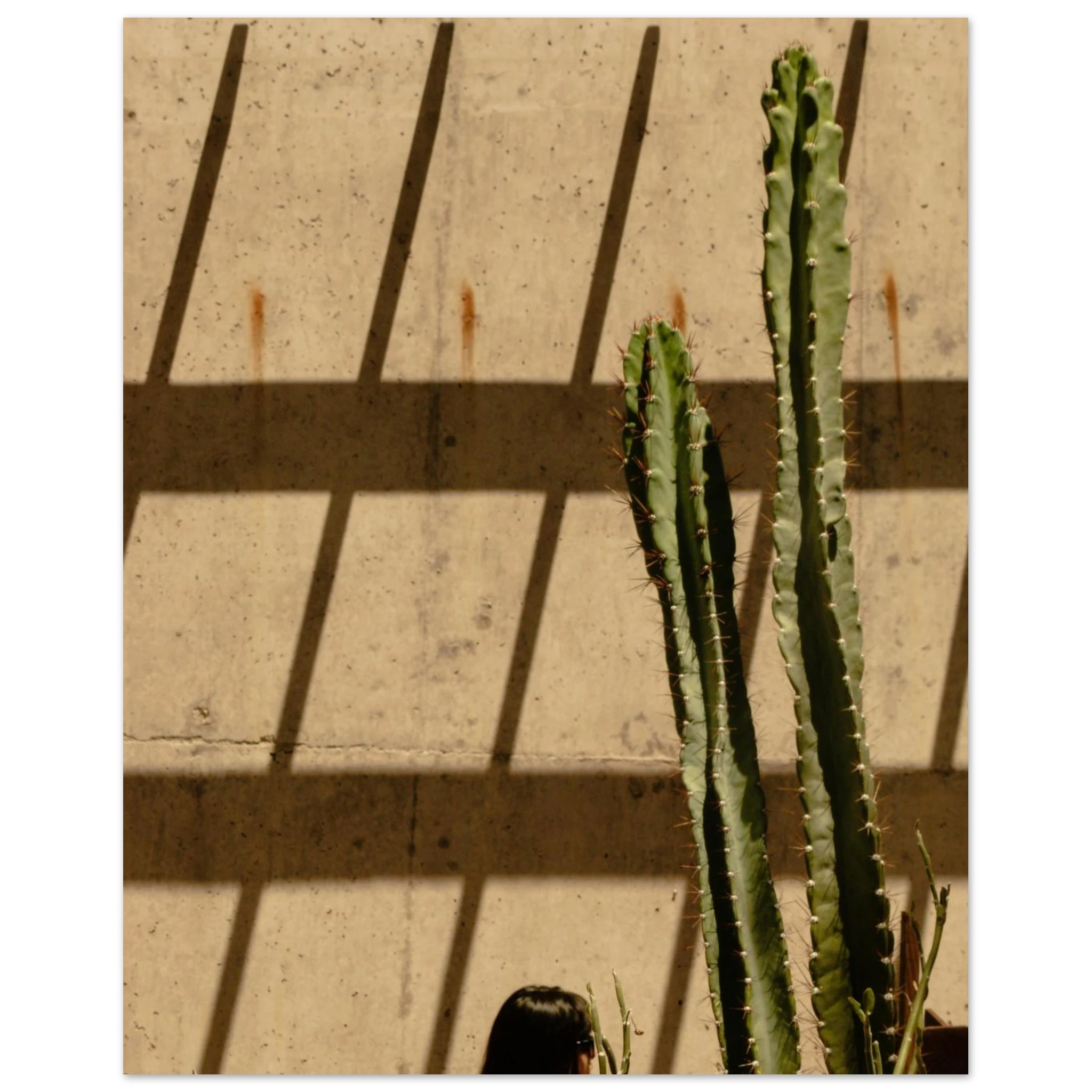 4191a529-02b9-4fe7-9e55-67c3606127af