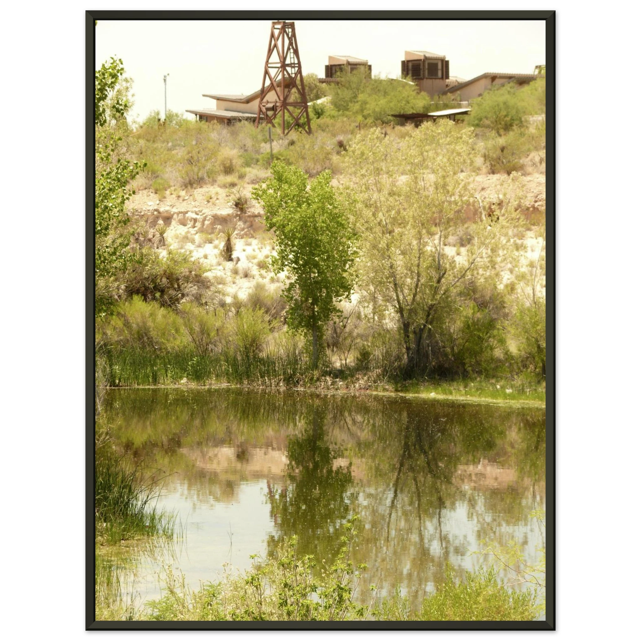 41928676-cdff-43b2-a5ba-cea59c8619e7