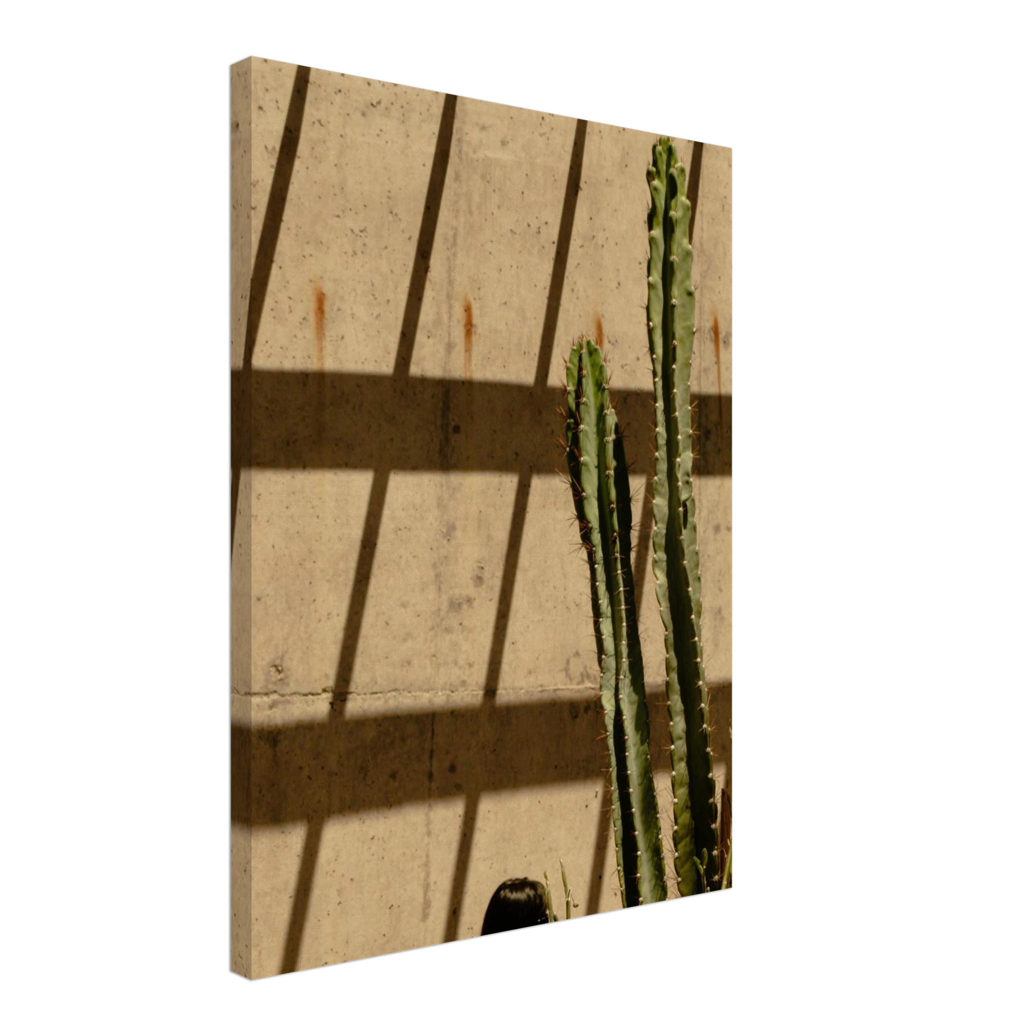 41bb32c6-6e73-4067-8c59-eedbd7fdebcf