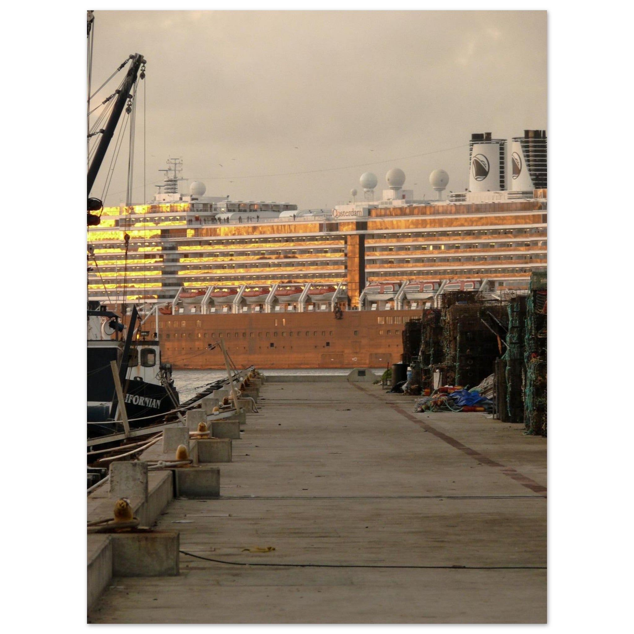 459a0aa8-d52e-4f67-969e-c0e838012746