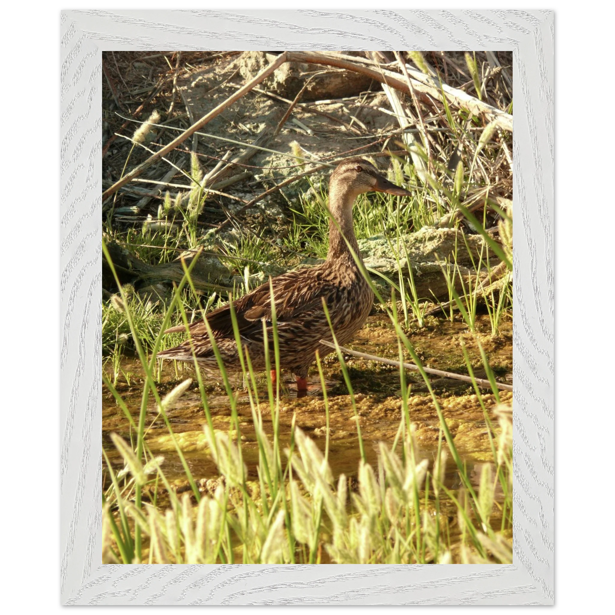 46070370-d384-4687-9f32-b20509a4ed7e