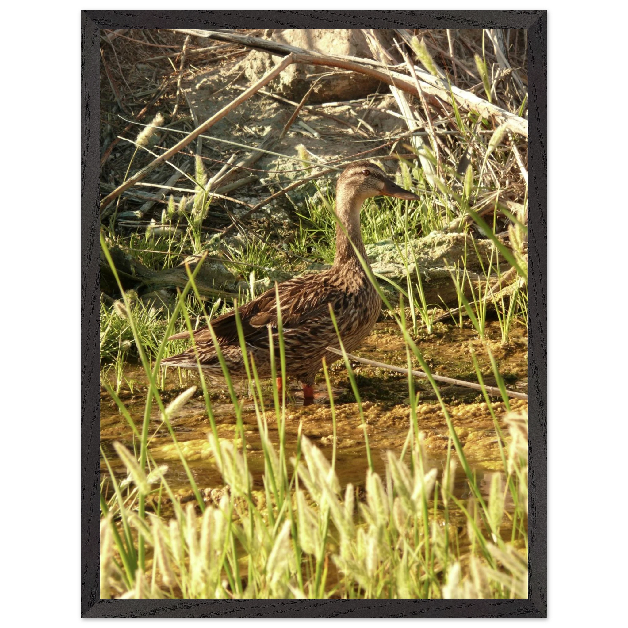 4c61f95c-b8b8-4268-b46f-1048f8153827