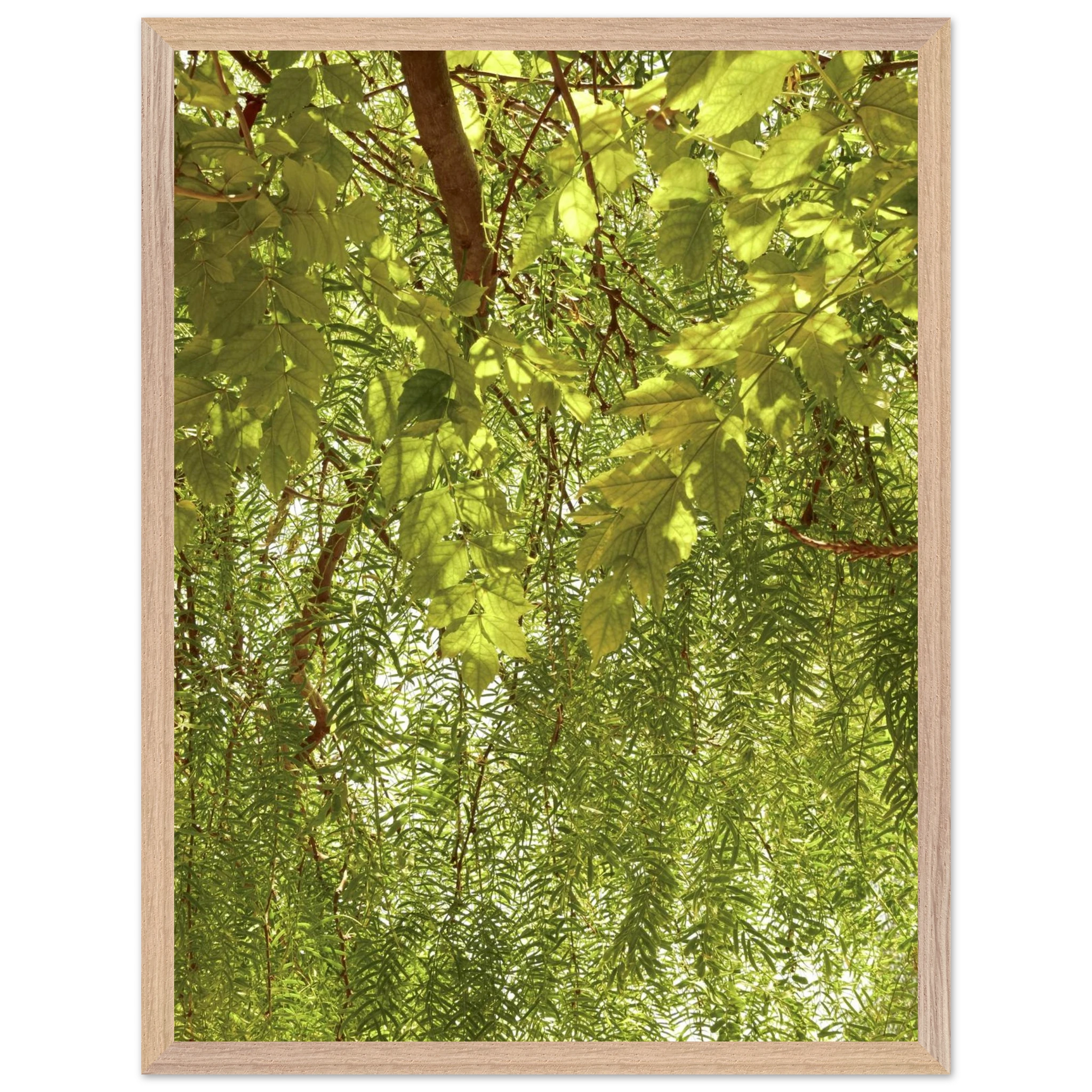 4d08444c-be71-4a33-8cbc-15c58e1c3905